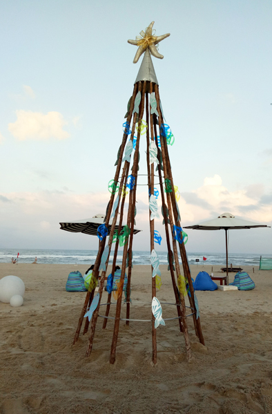 Beach Bar tree small.jpg