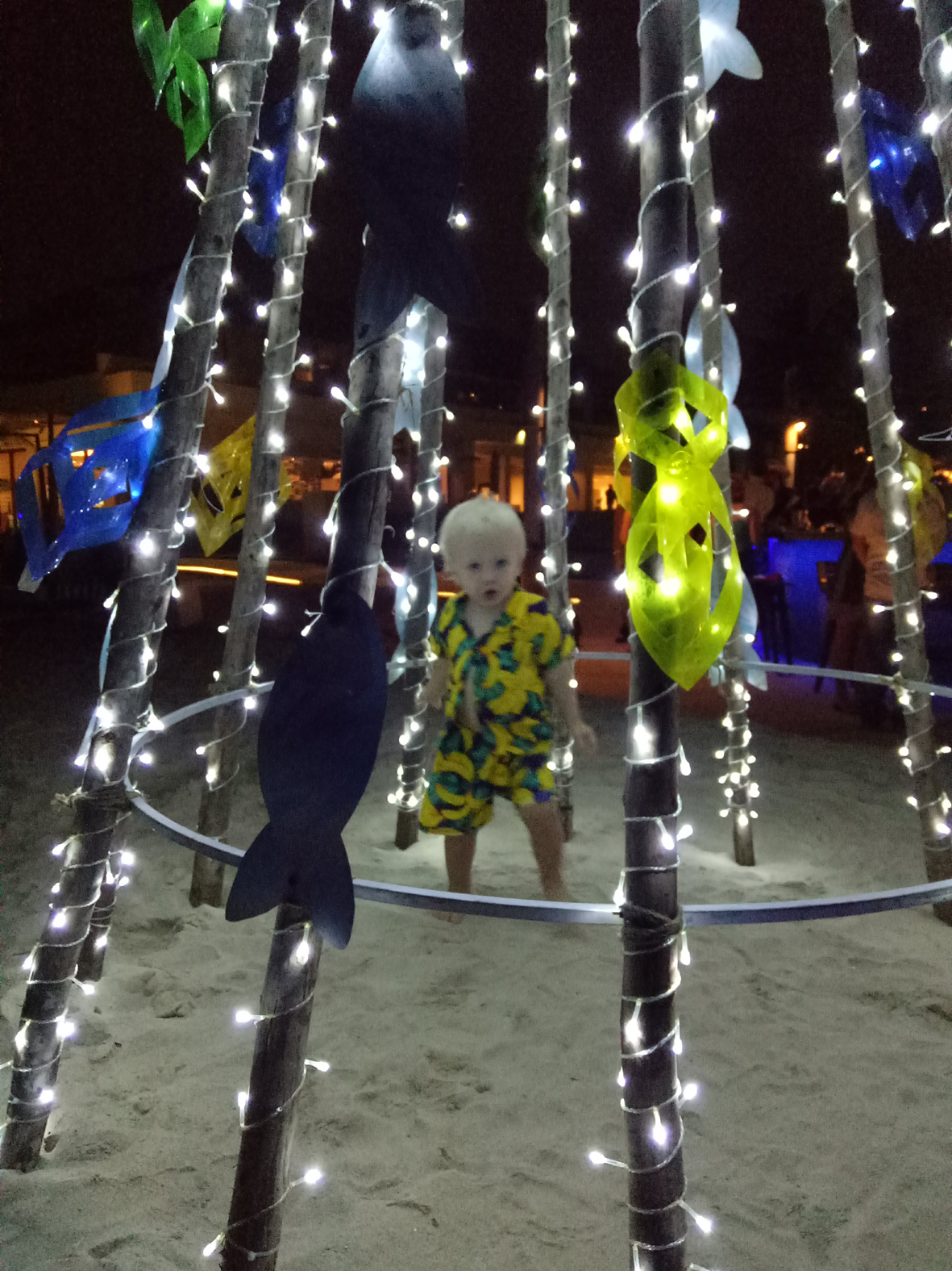 beach xmas tree small.jpg