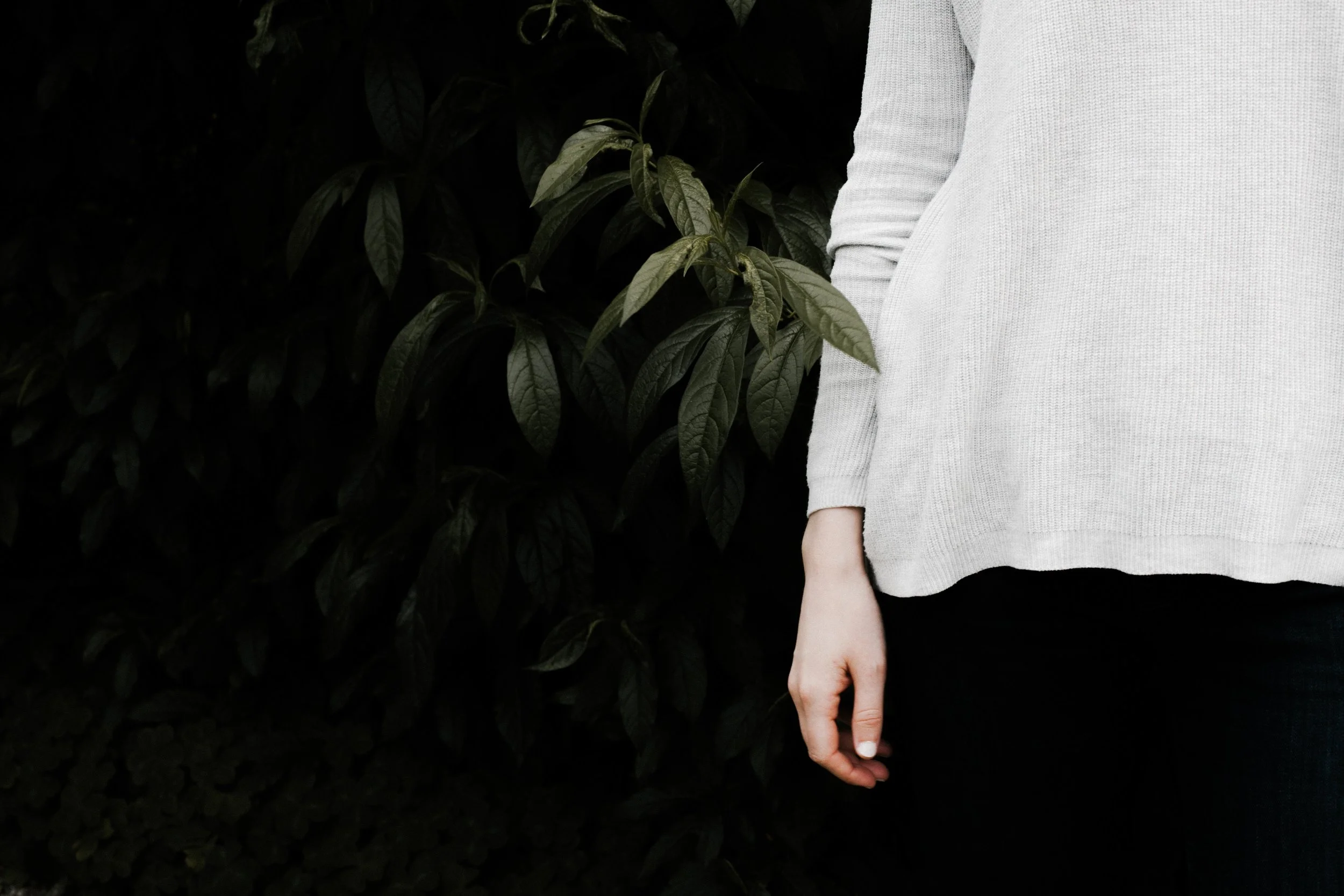 alexa-mazzarello-302583-unsplash.jpg