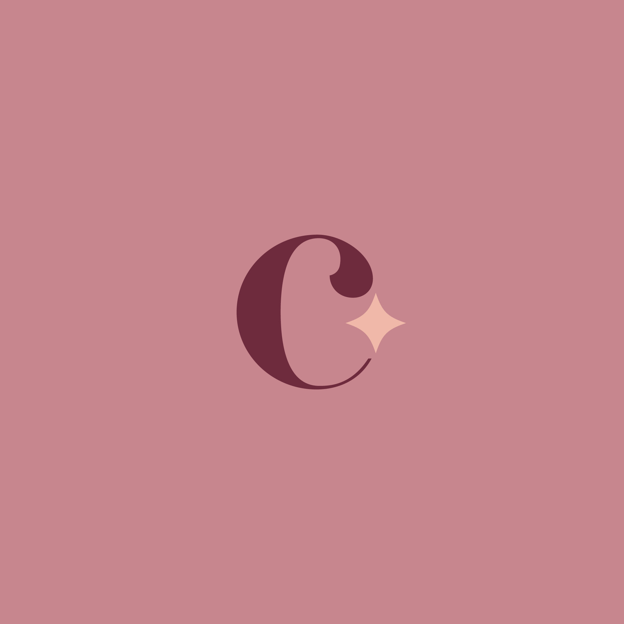 HelloGypsy-Clarity-Logo-Branding-37.jpg