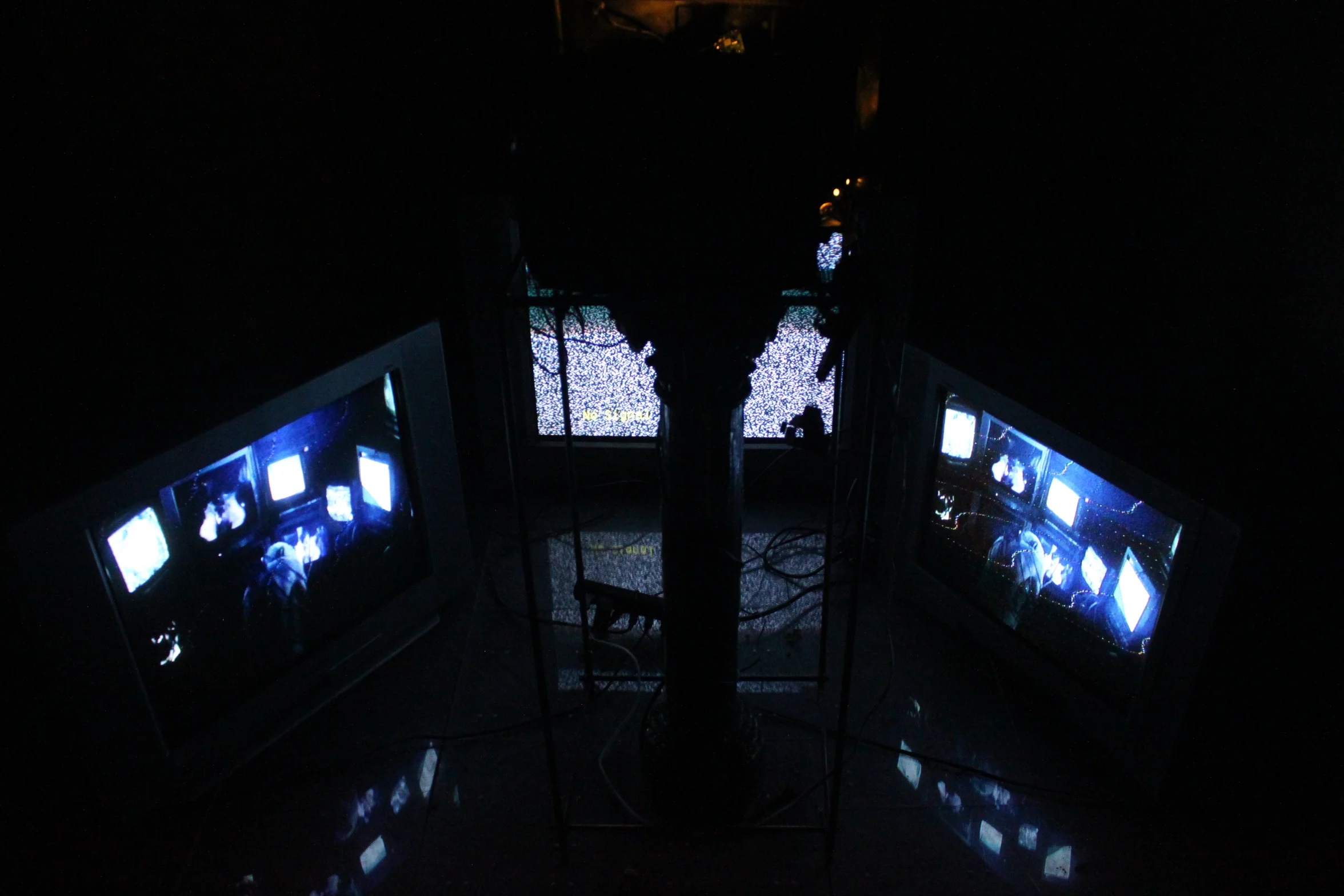  photo by adam canvas 