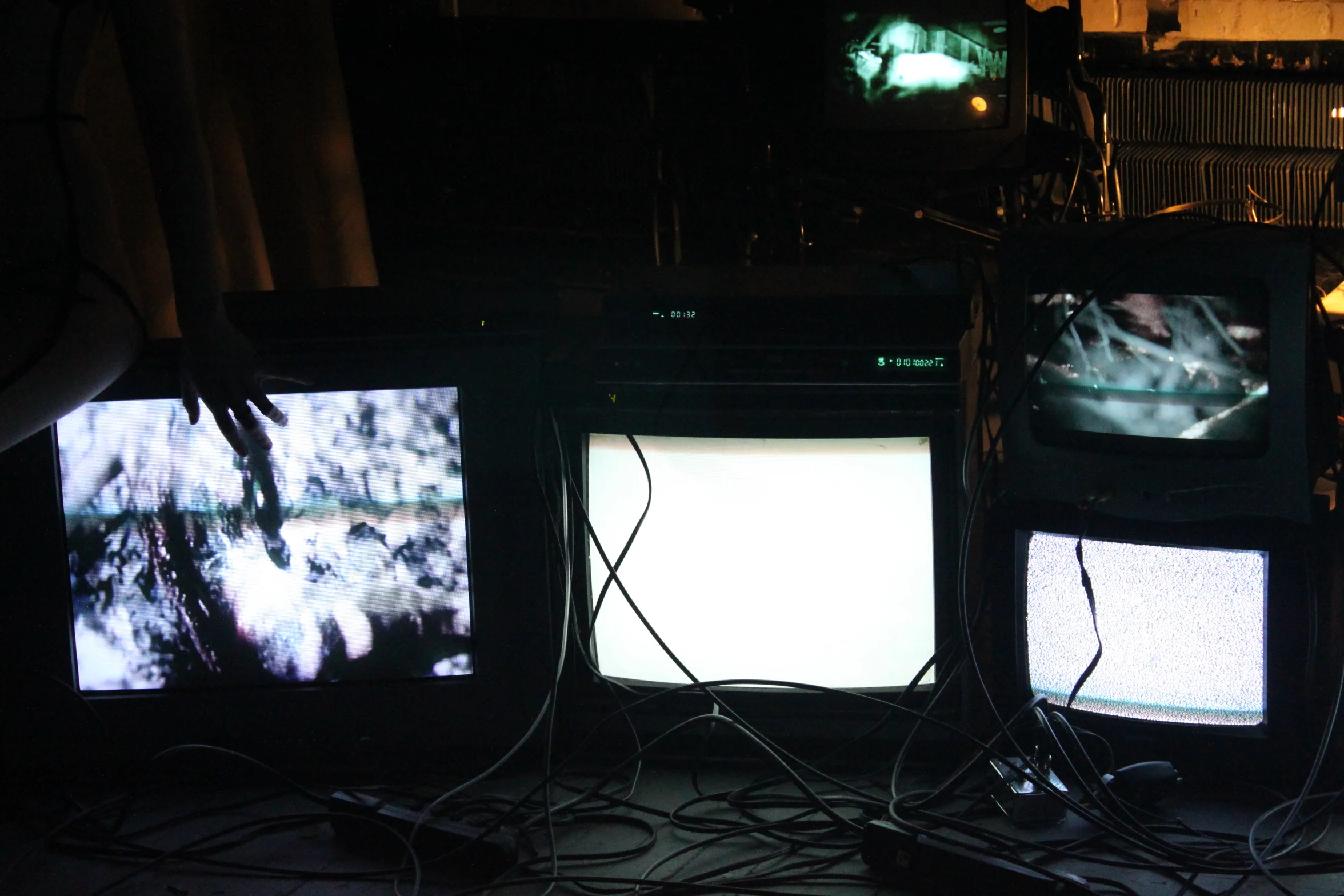  photo by adam canvas 