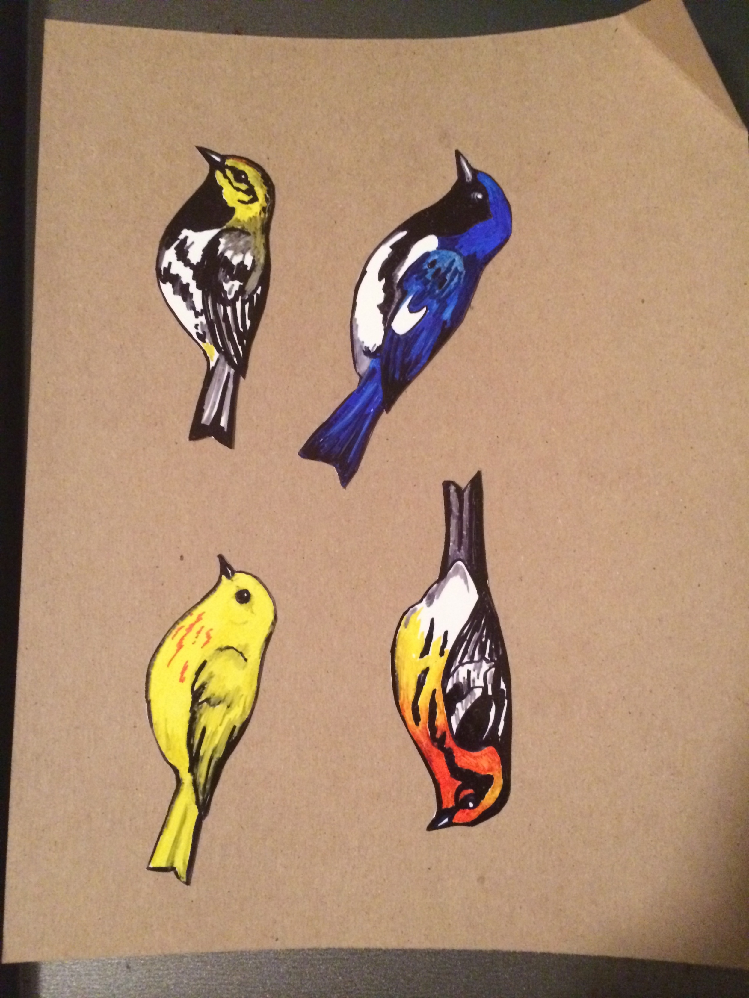 These little guys are about to shrink! But see the differences in the shape of their heads, the width of their tails? Ooops. As I got better at looking at the warbler shape, I realized I could not just draw the outline based on what I thought it looked like. Very humbling! .....That Yellow Warbler is mine! 