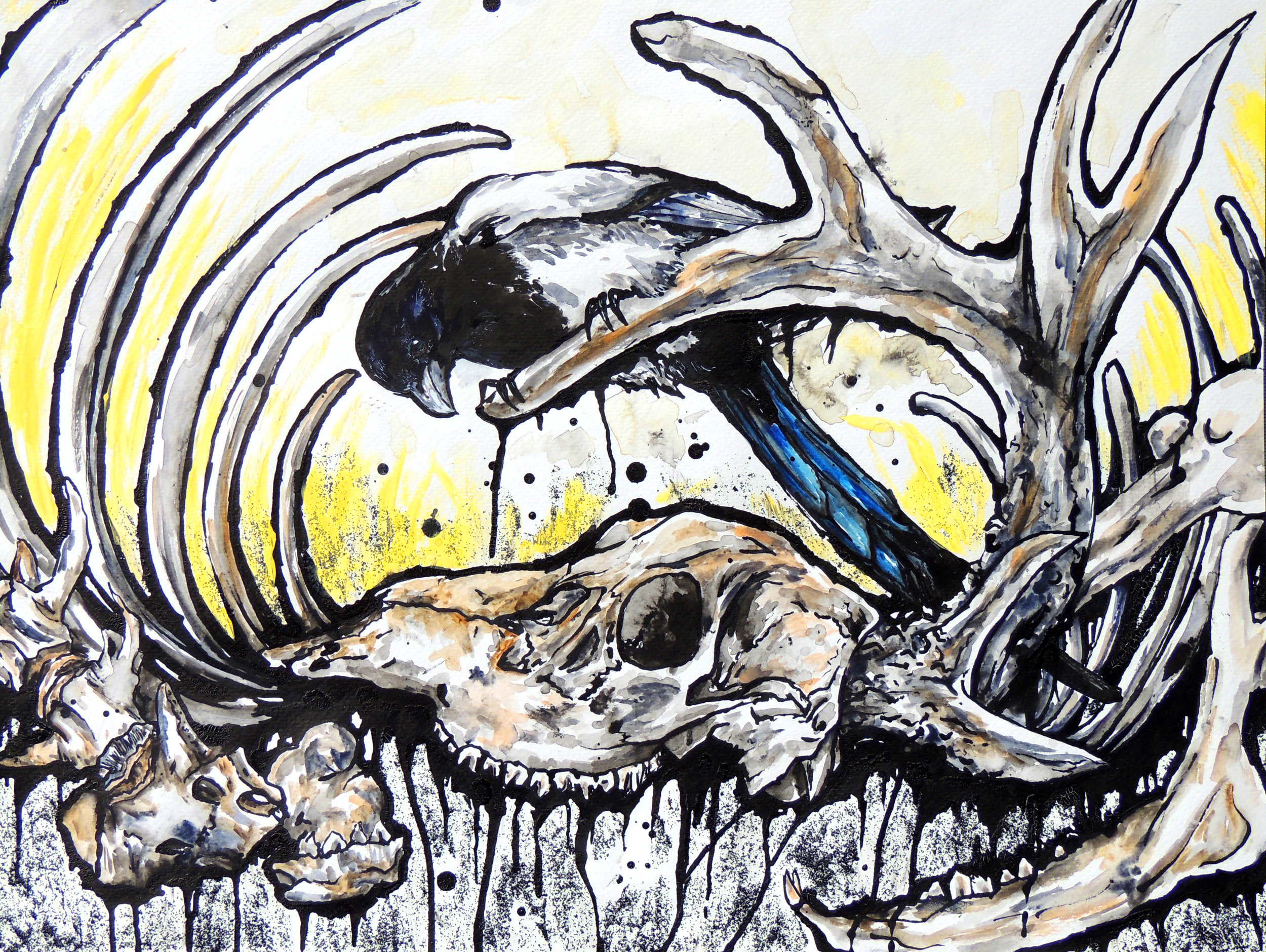 The Boneyard