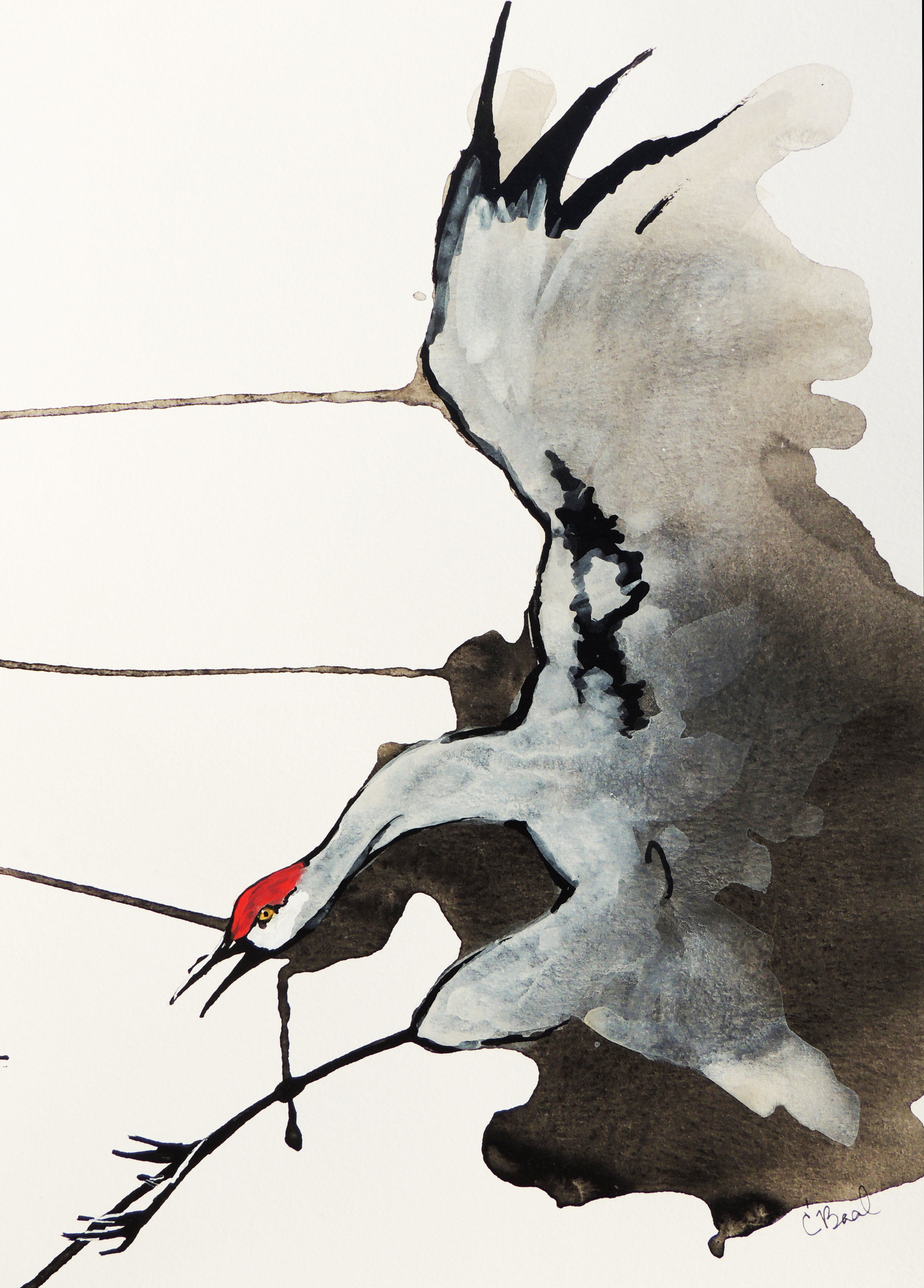Sandhill Crane