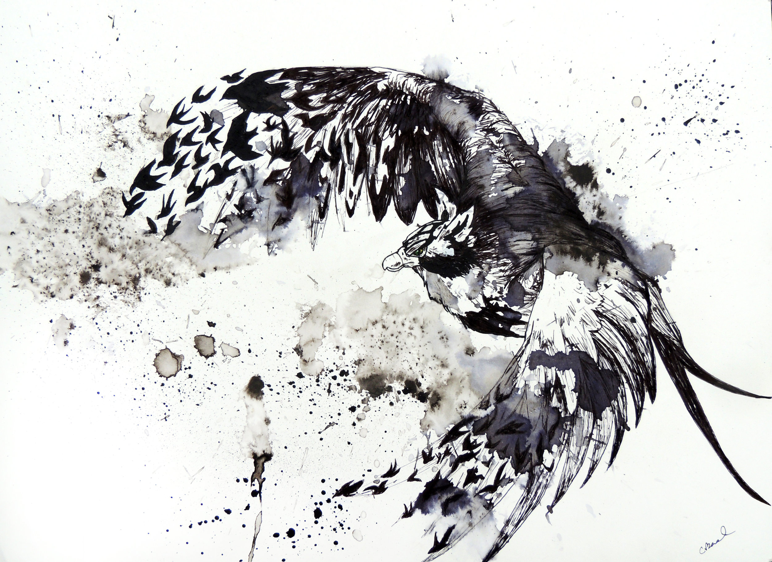 The King of the Birds
