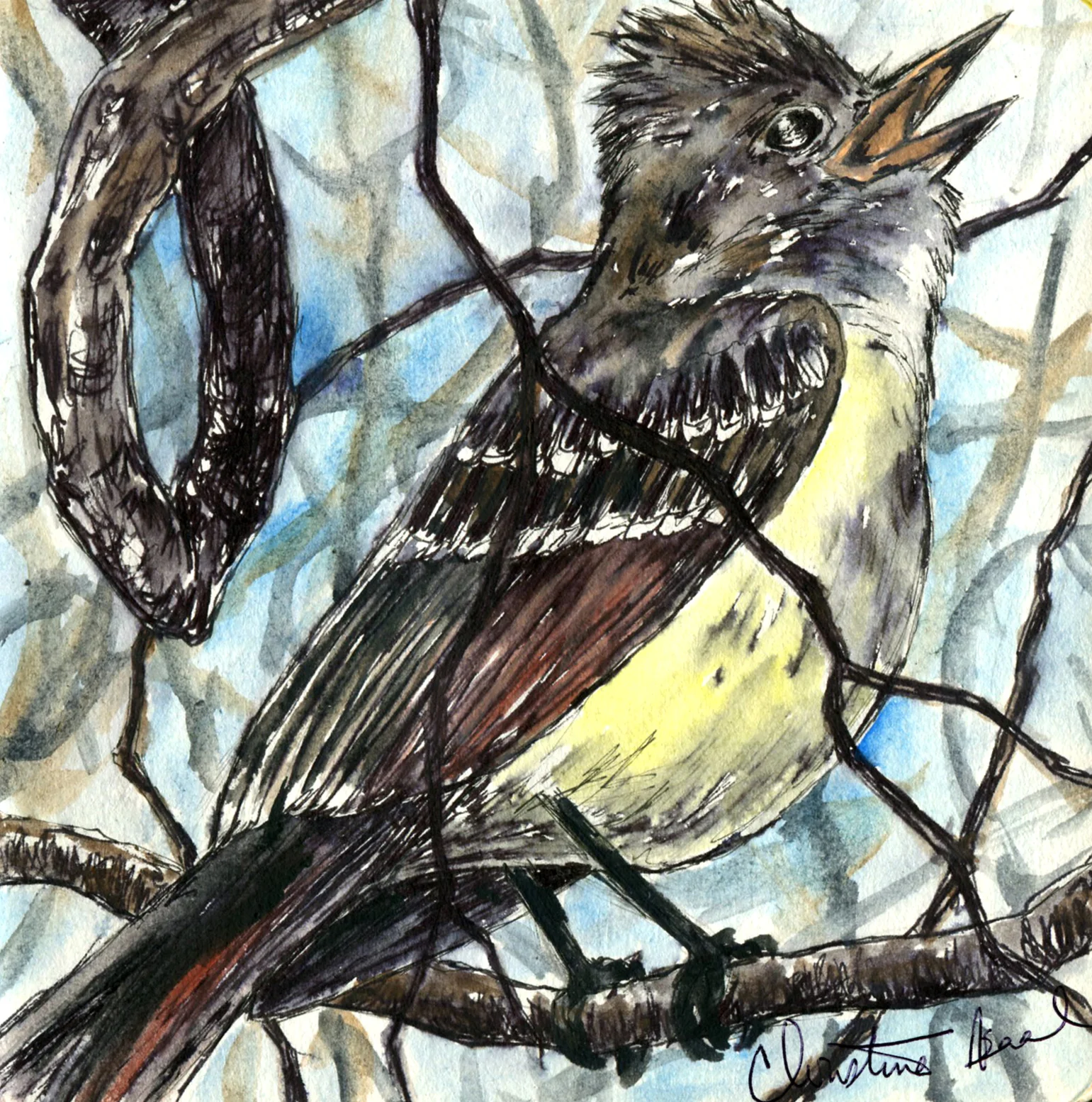Great-crested Flycatcher.jpg