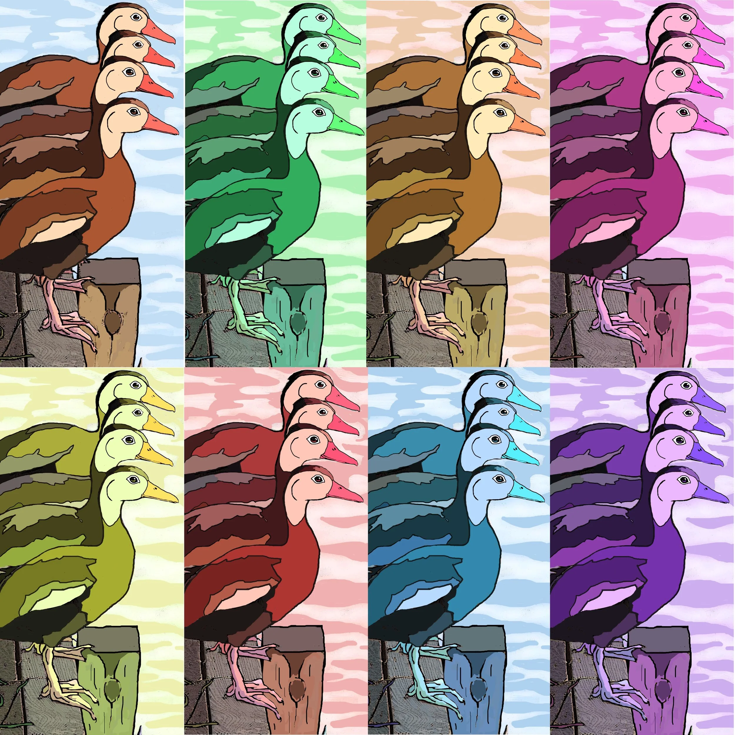 All of my Ducks in a Row.jpg