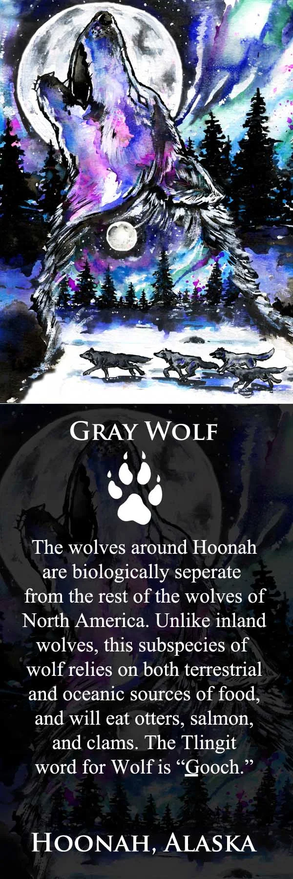 Gray Wolf.jpg