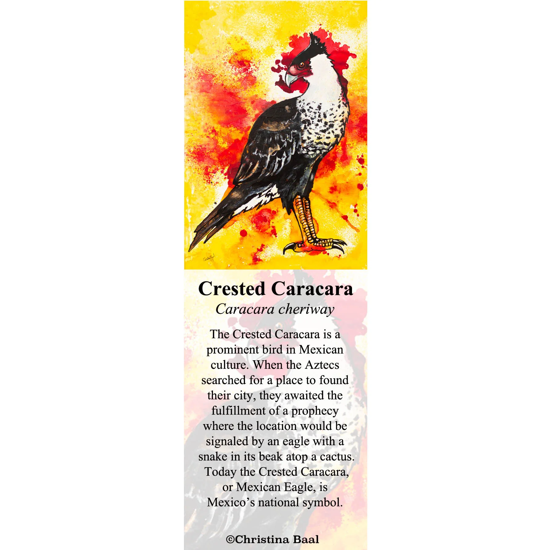 Crested Caracara.jpg