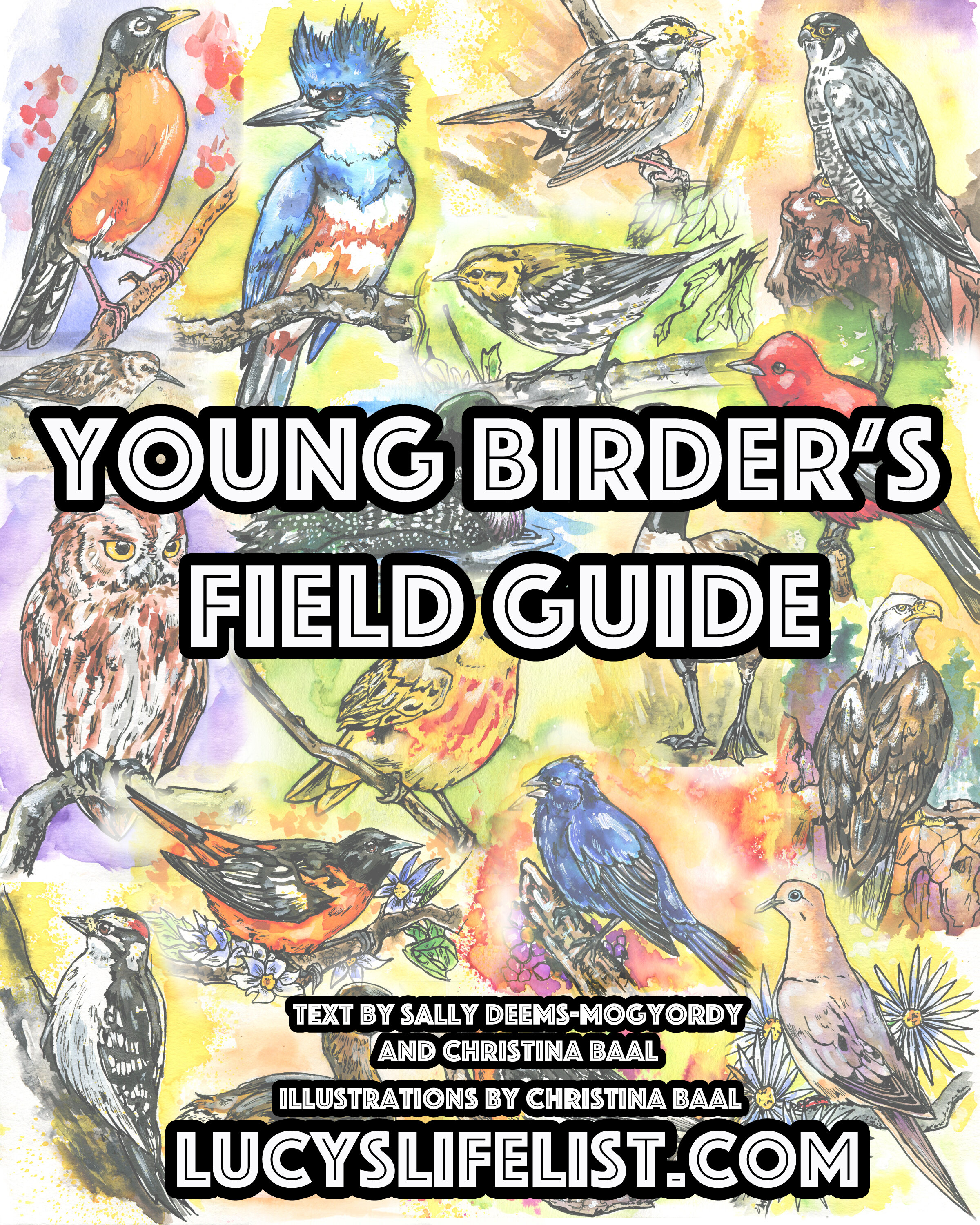 Young Birder's Field Guide (Copy)