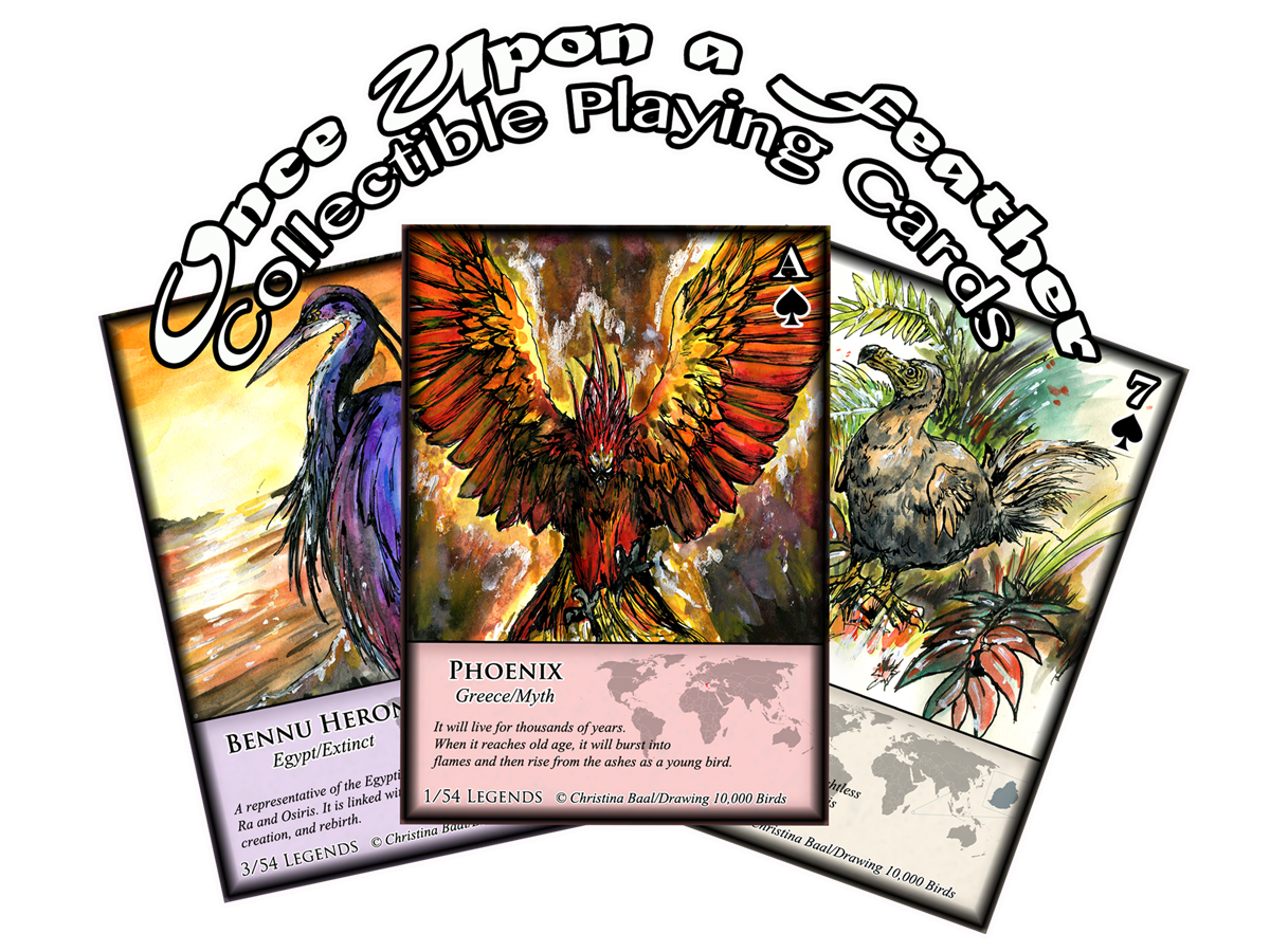 Fantastic Birds Educational Playing Cards (Copy)
