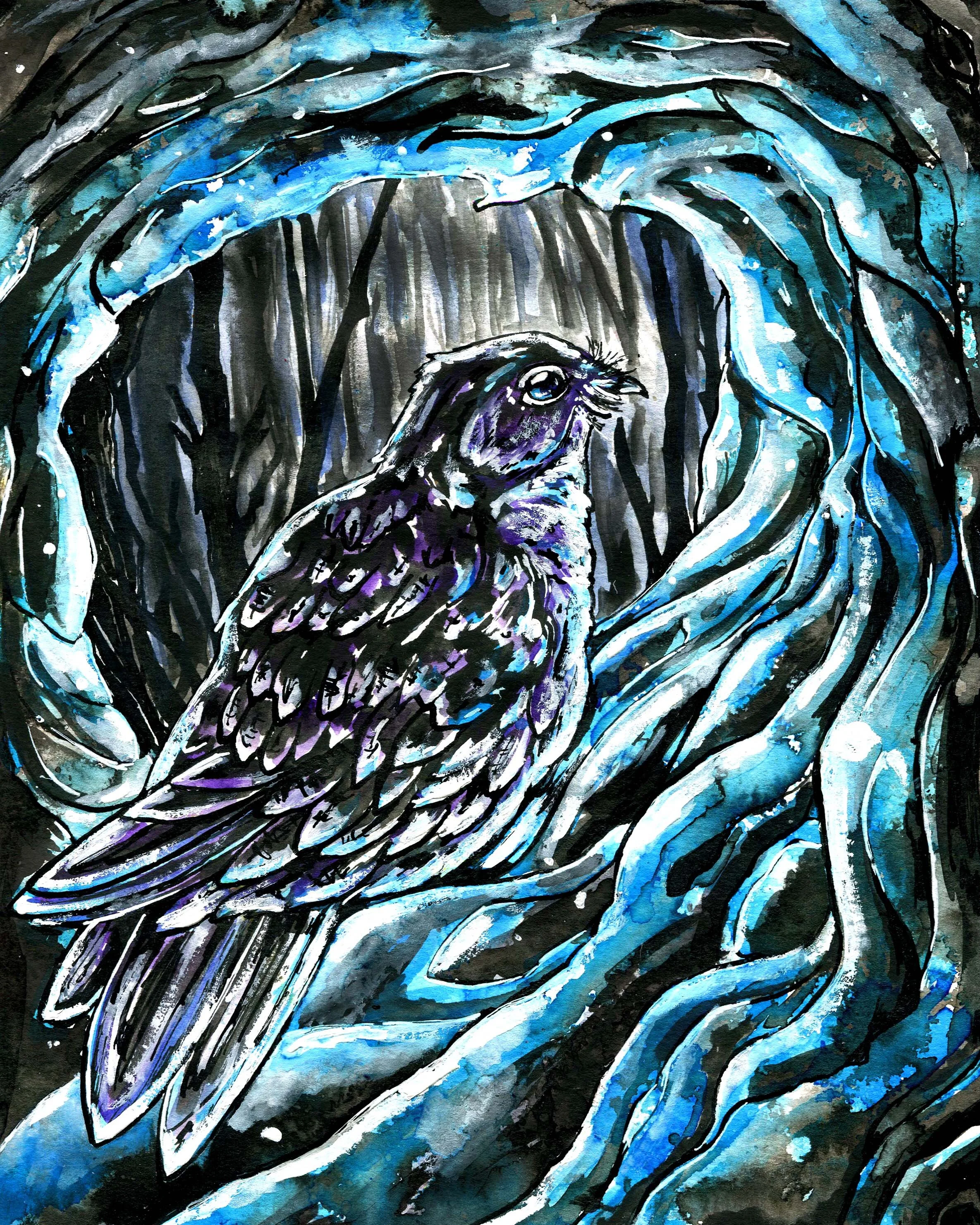Hercinia Nightjar Art.jpg