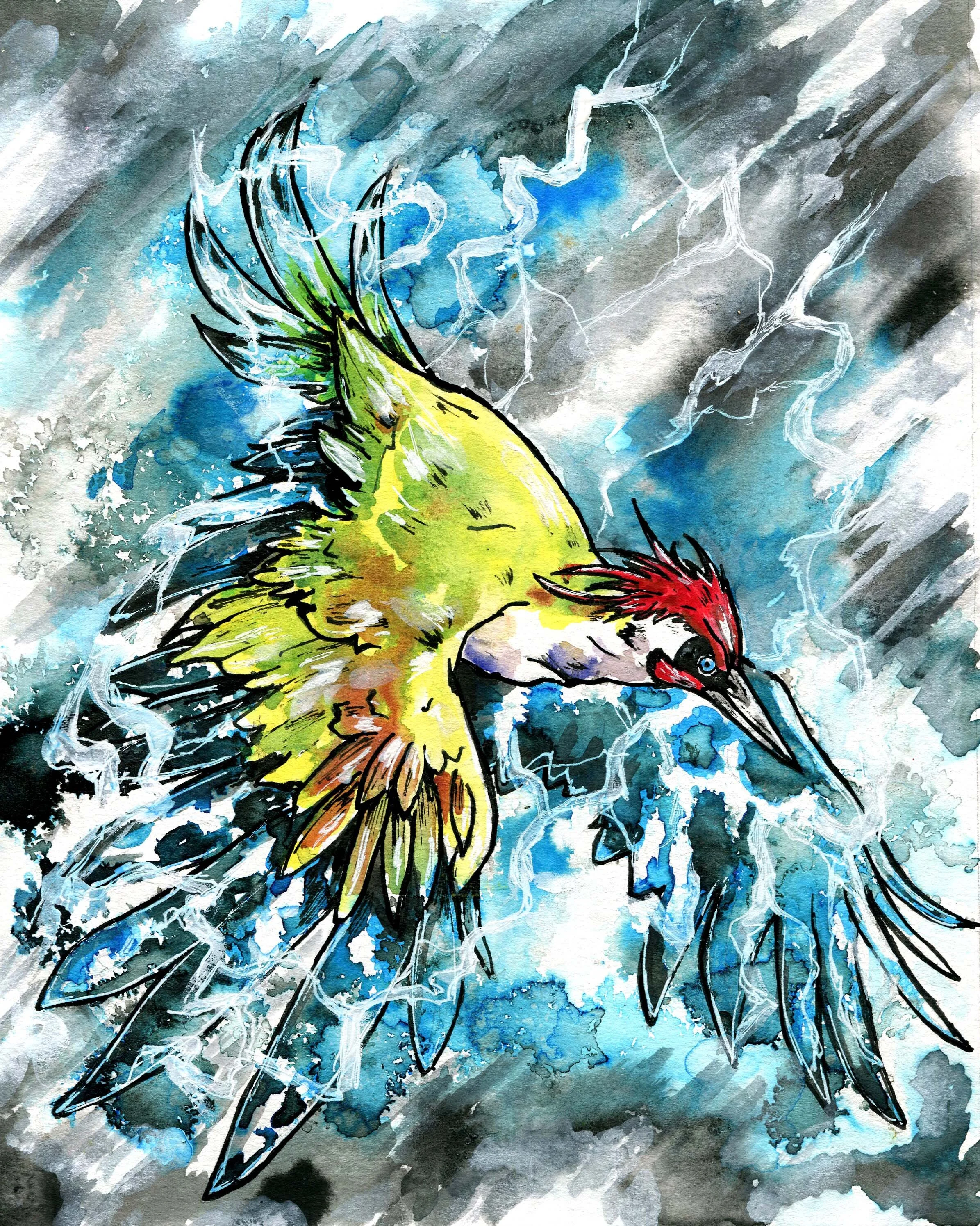 Storm Drummer Art .jpg