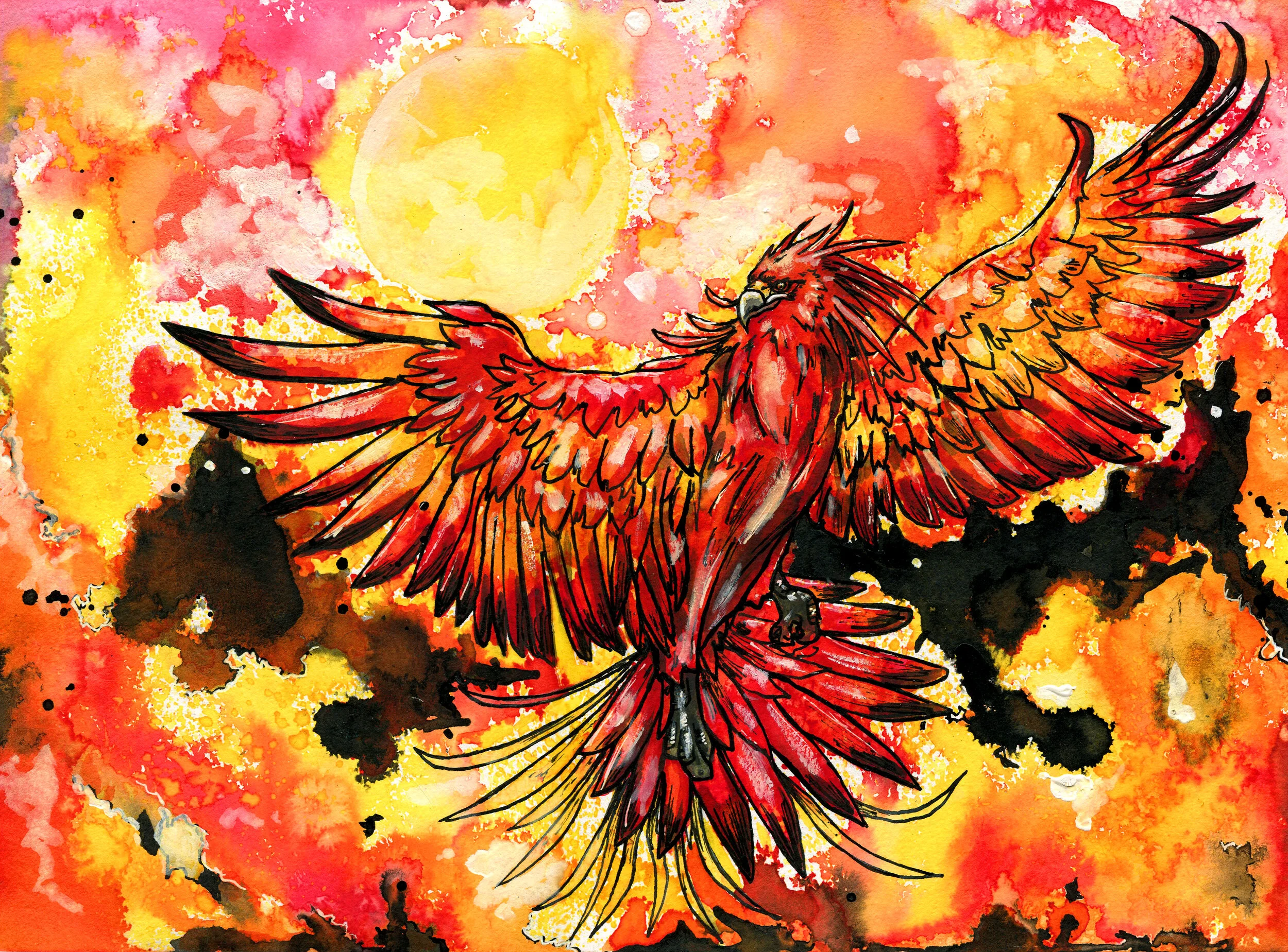 Arabian Phoenix.jpg