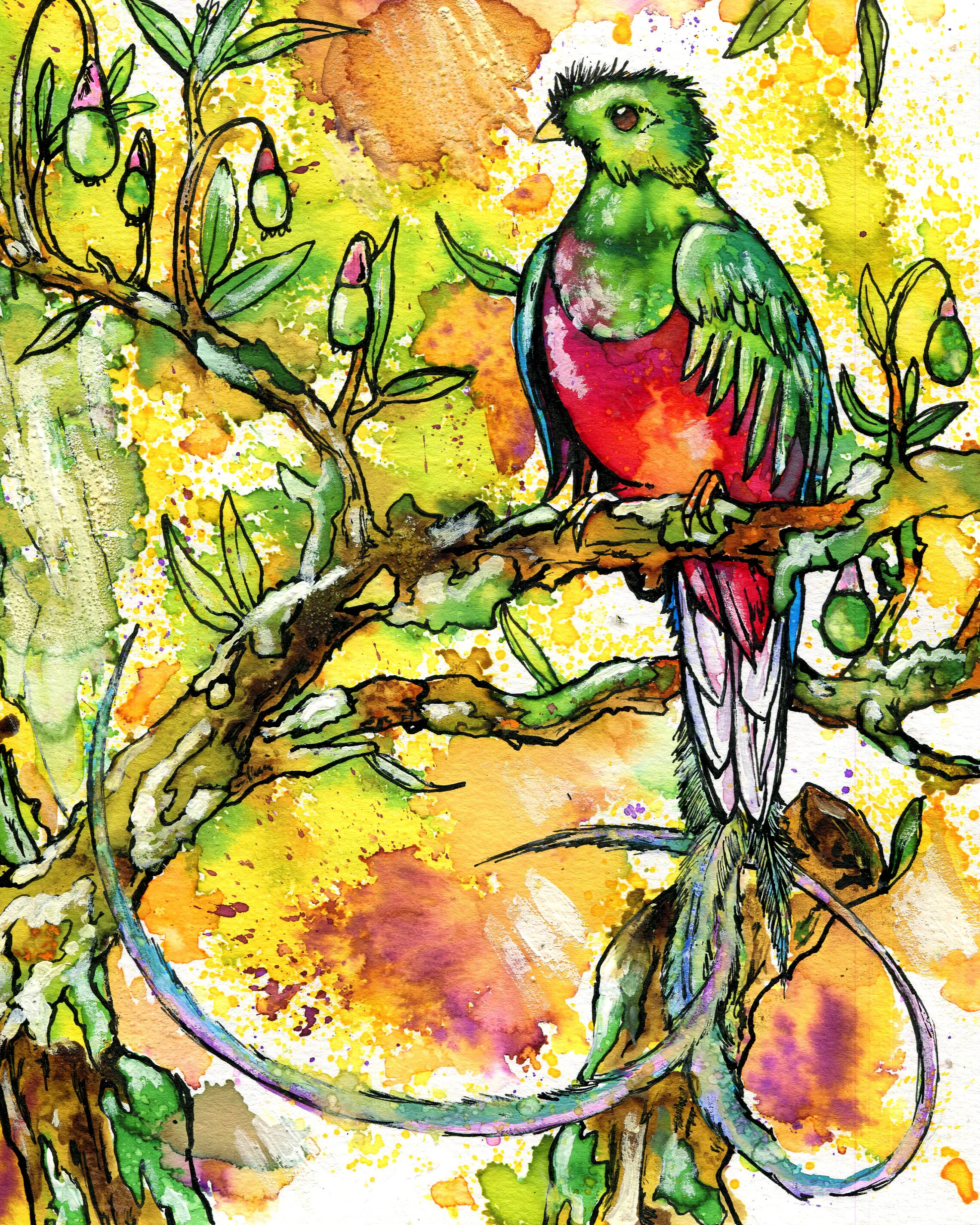 Splendor in the Avacados.jpg