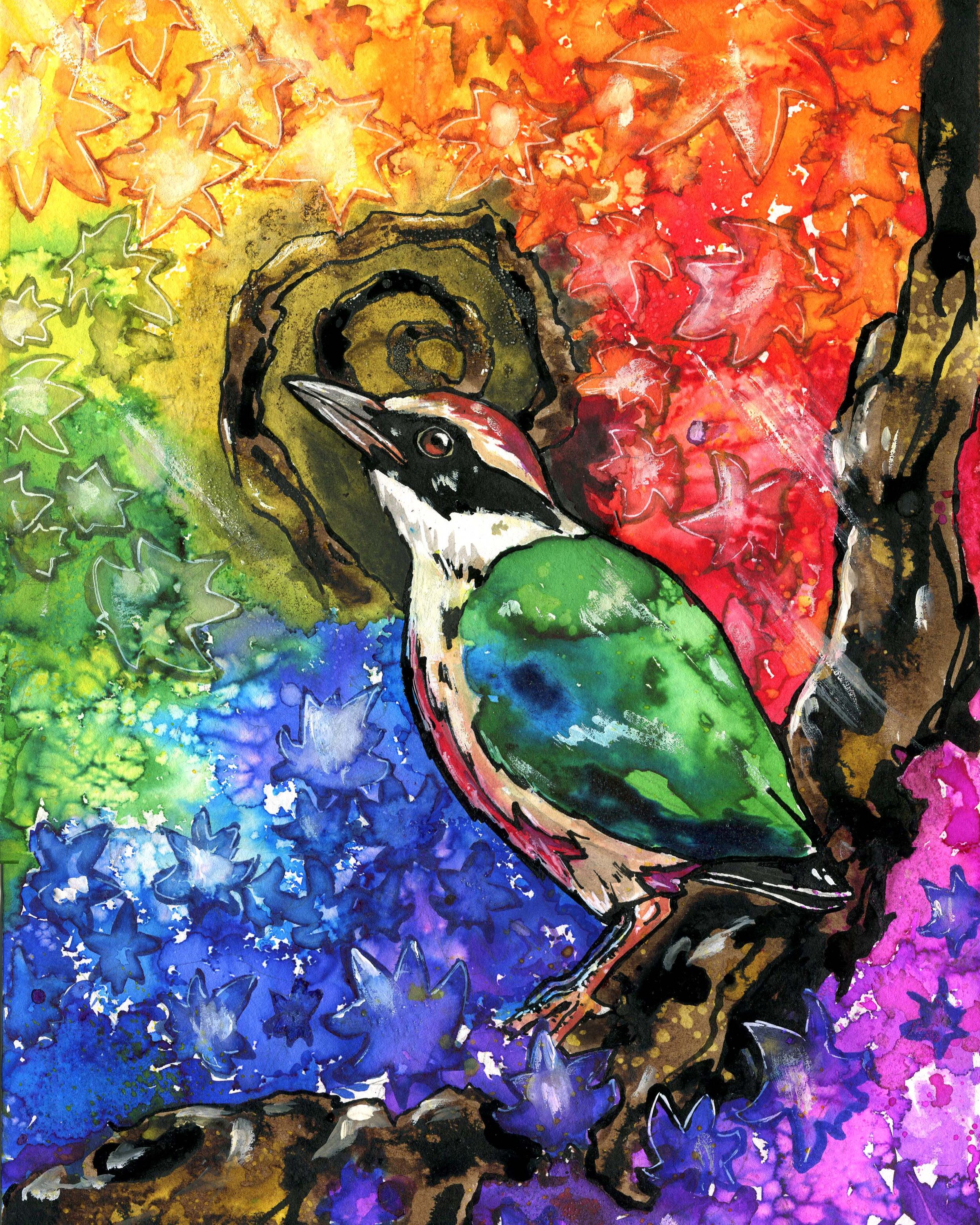 Fairy Pitta Art.jpg