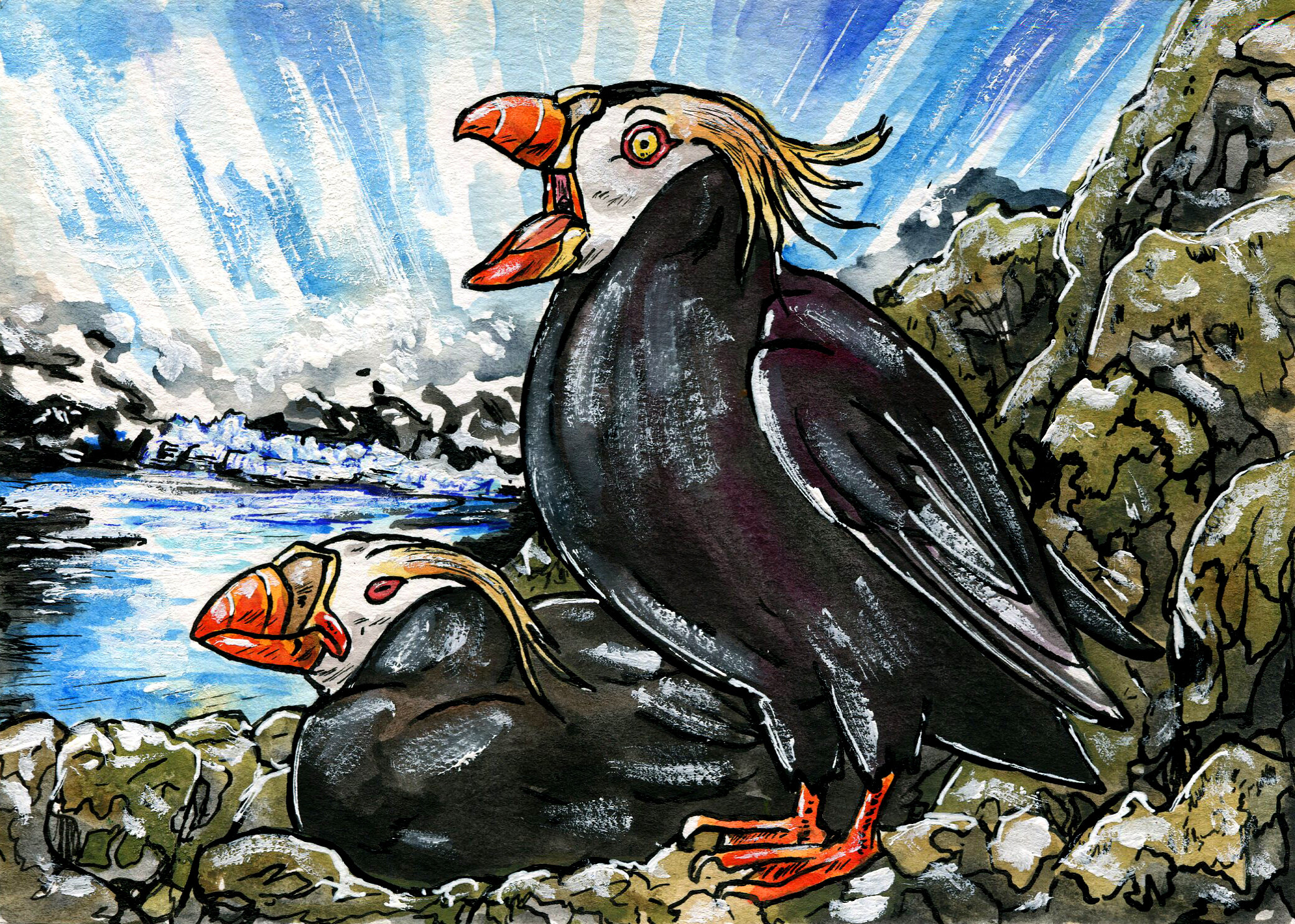 Tufted Puffin