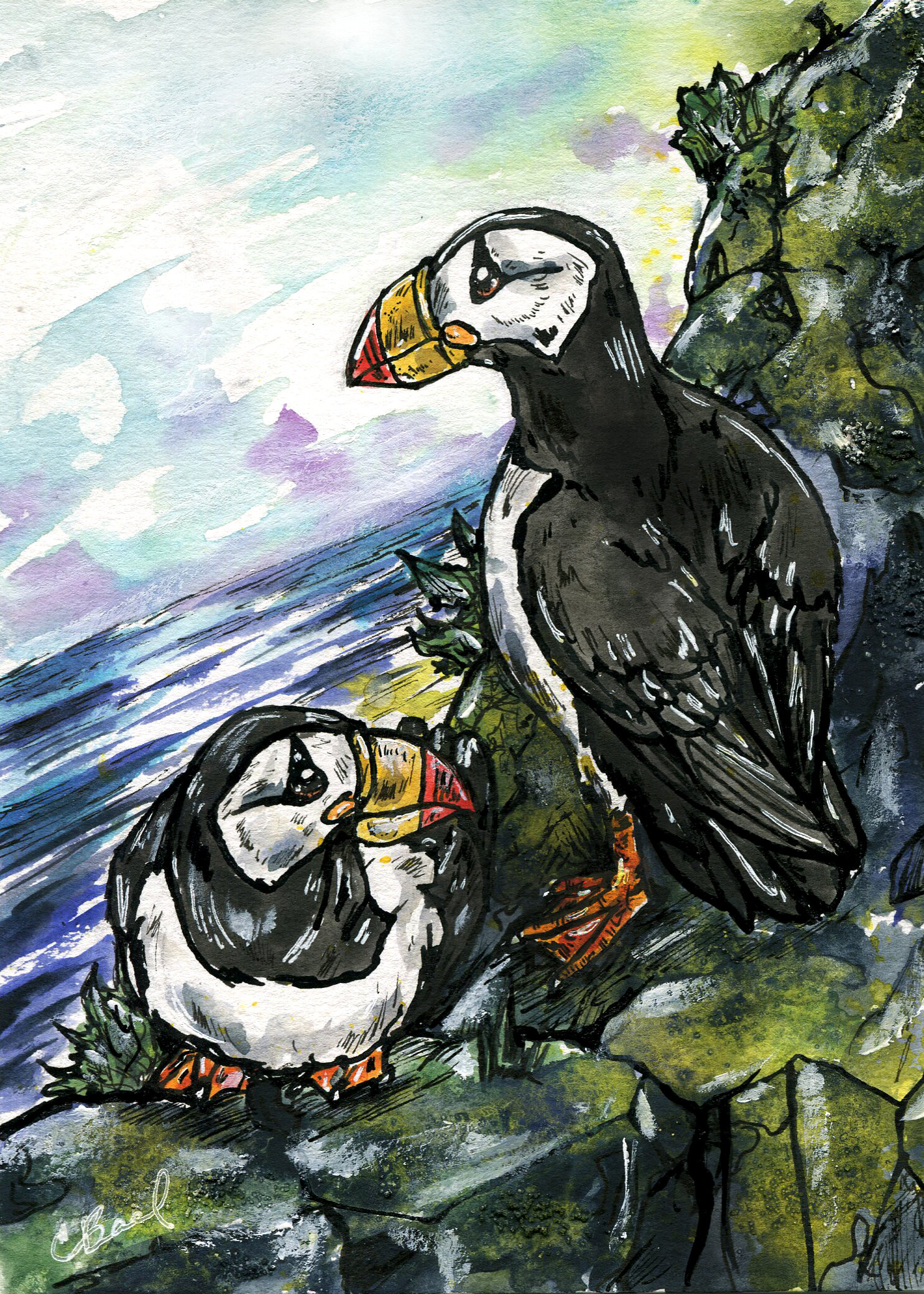 Horned Puffin