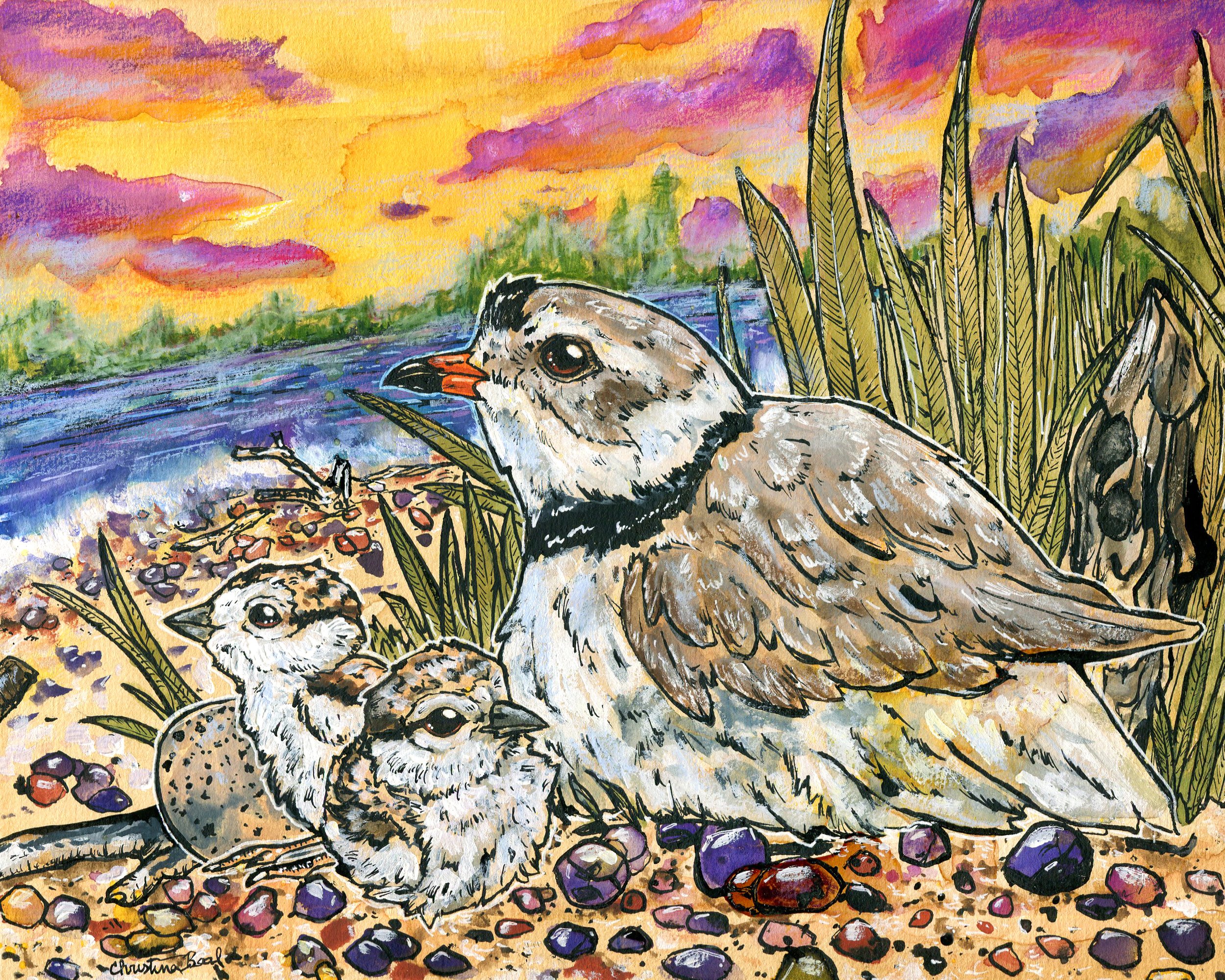 A Pile of Piping Plovers