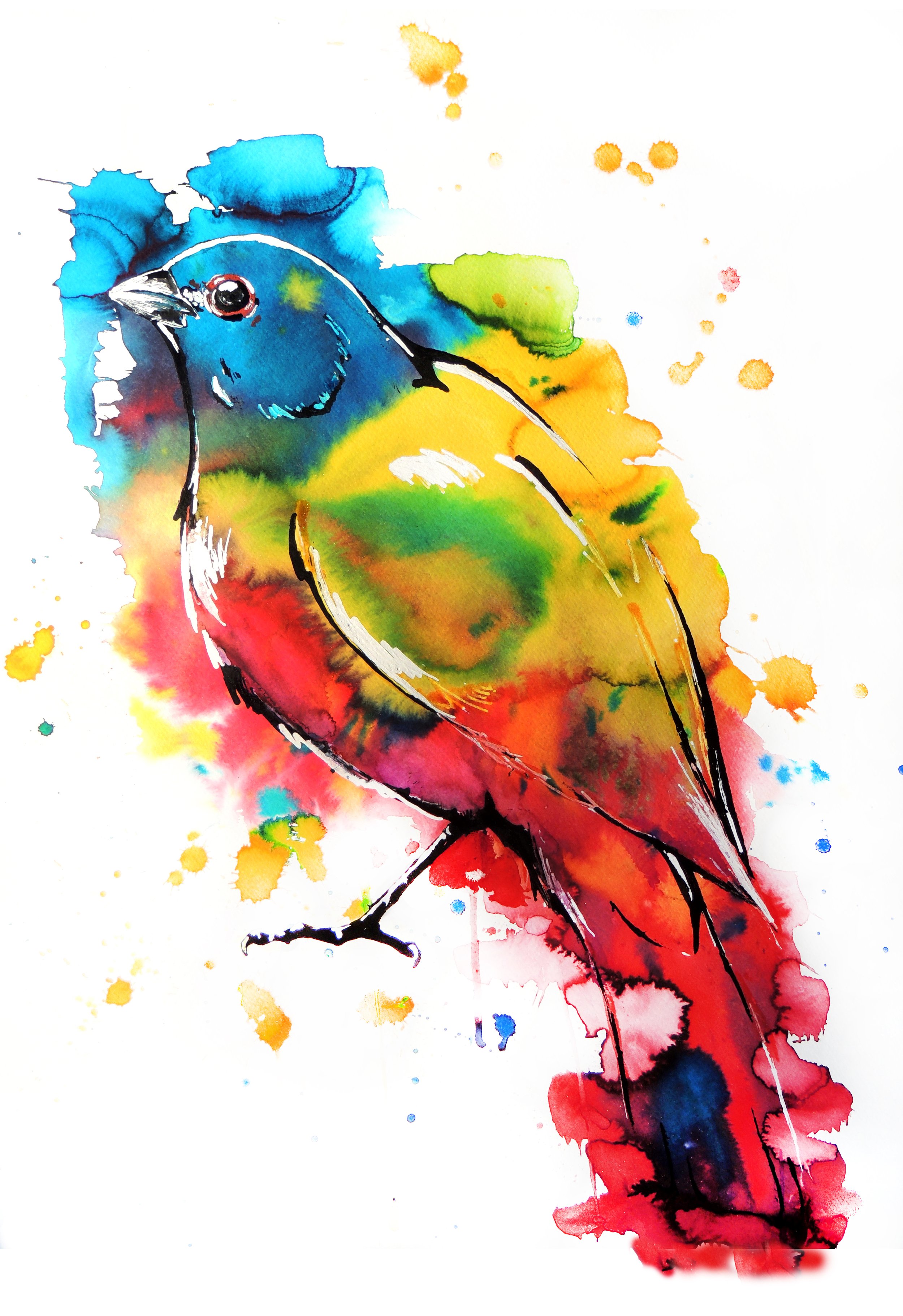The Artist's Bird