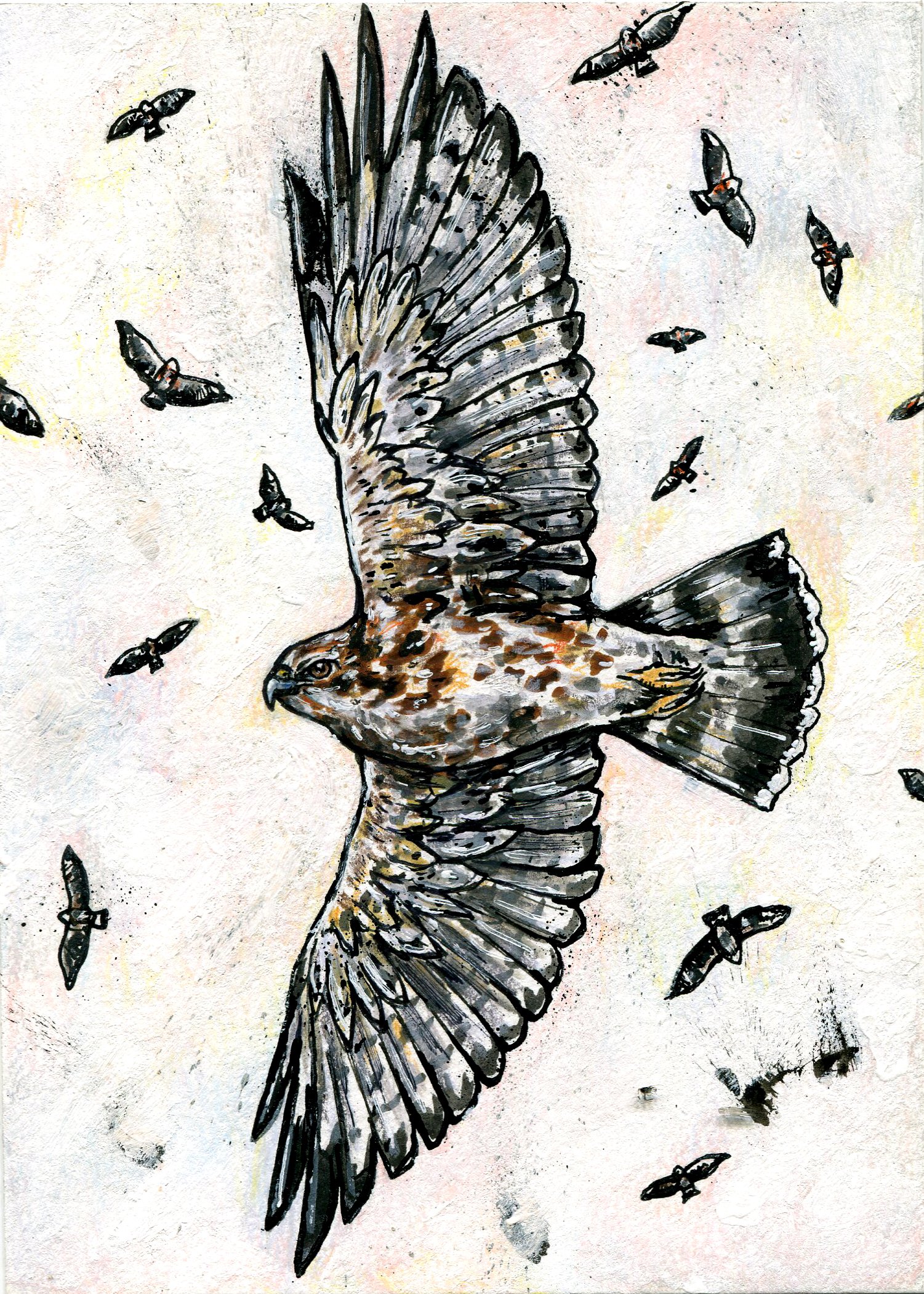 Broad-winged Hawk (Original Available)