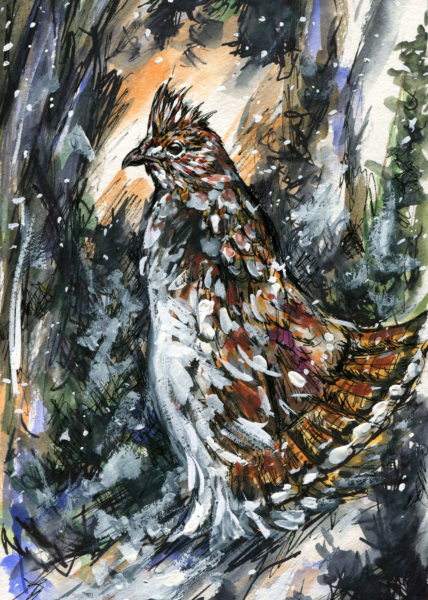 Ruffed Grouse