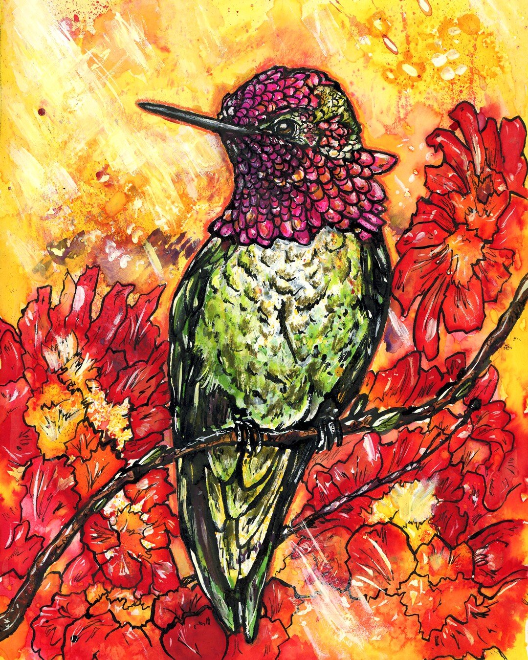September 8, 2022: Anna's Hummingbird

One thing that California definitely has over the east coast is hummingbird variety (though I guess that really isn't hard when the status quo is one species!) I sure do miss my Ruby-throats, but I do love the g