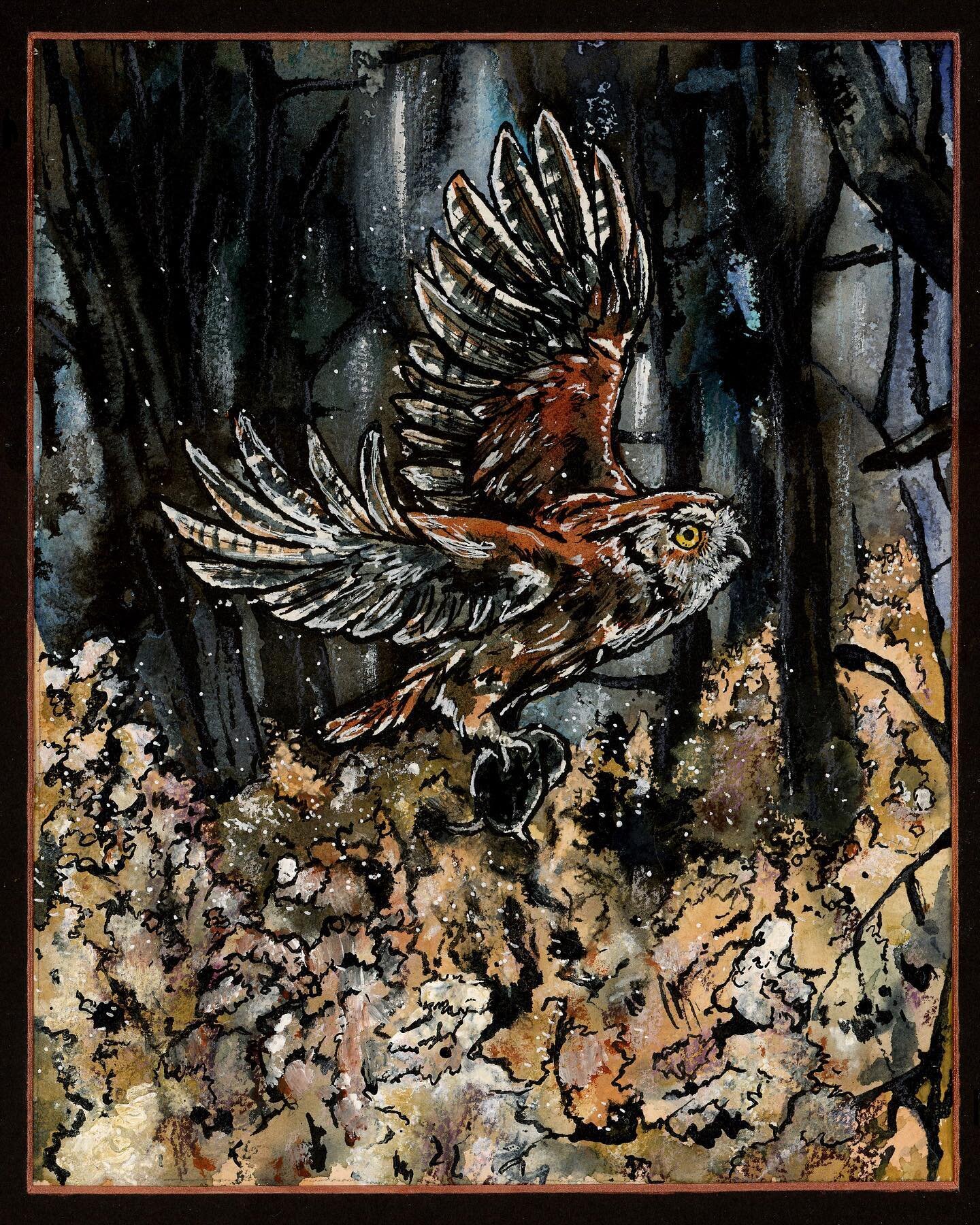 Time to start posting some art again! Just 30 days left until the Biggest Week in American Birding and even less time till I head to my shows in Texas. Here is a painting of an Eastern Screech Owl hunting on the Magee Marsh boardwalk from last years 