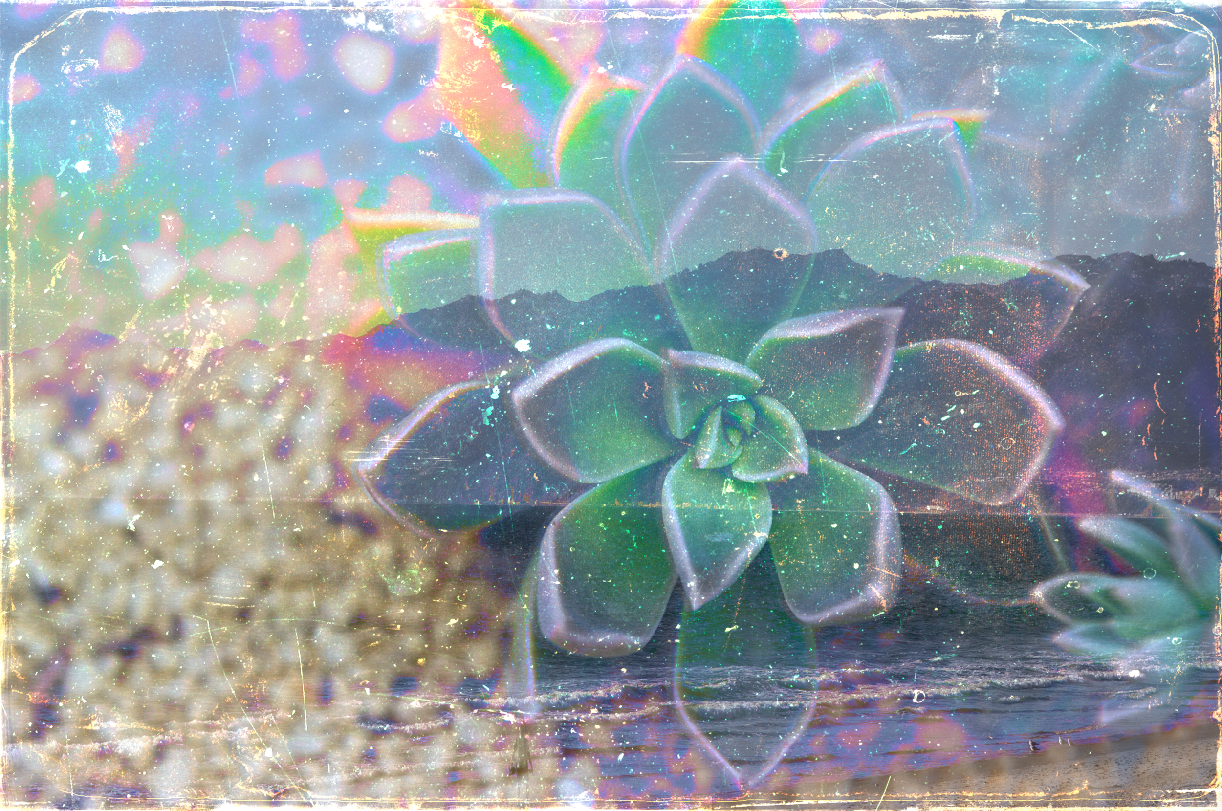 Screen Shot 2020-08-04 at 6.15.28 PM.png