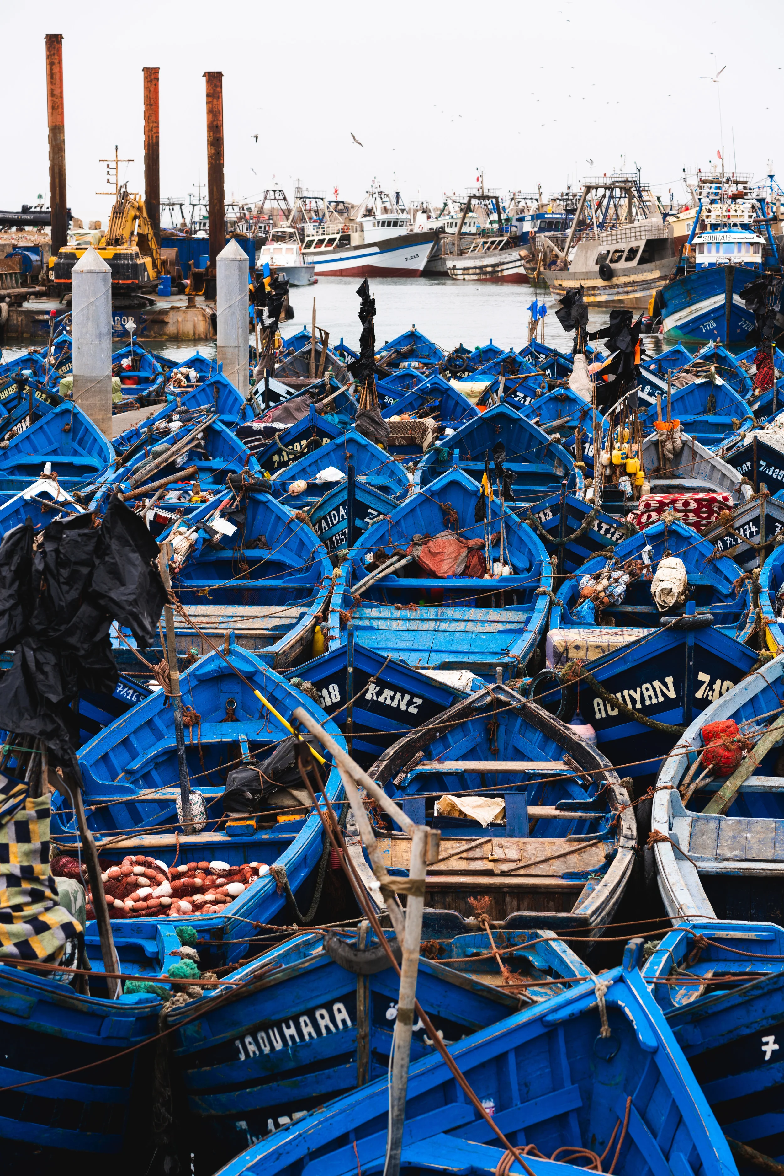Morocco_Essaouira_07528.jpg