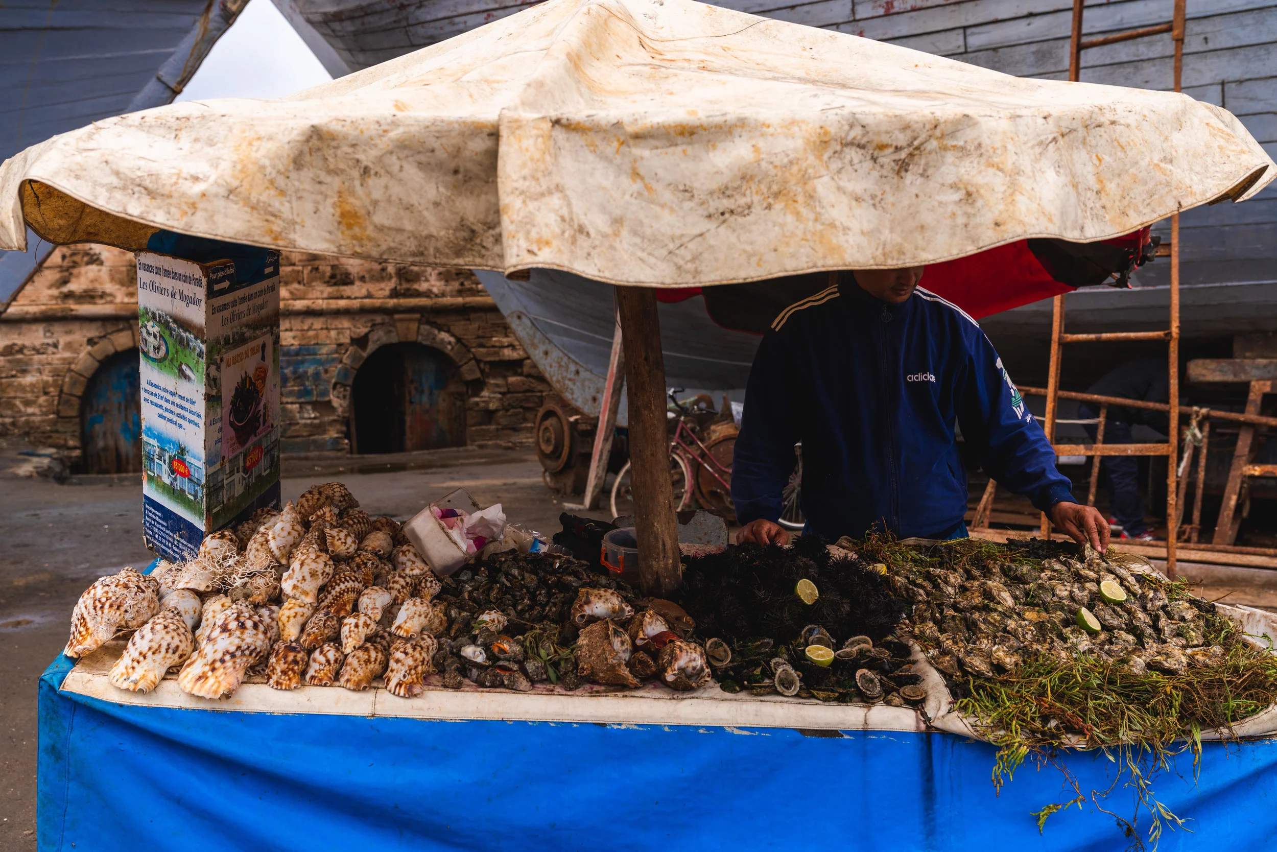 Morocco_Essaouira_07585.jpg