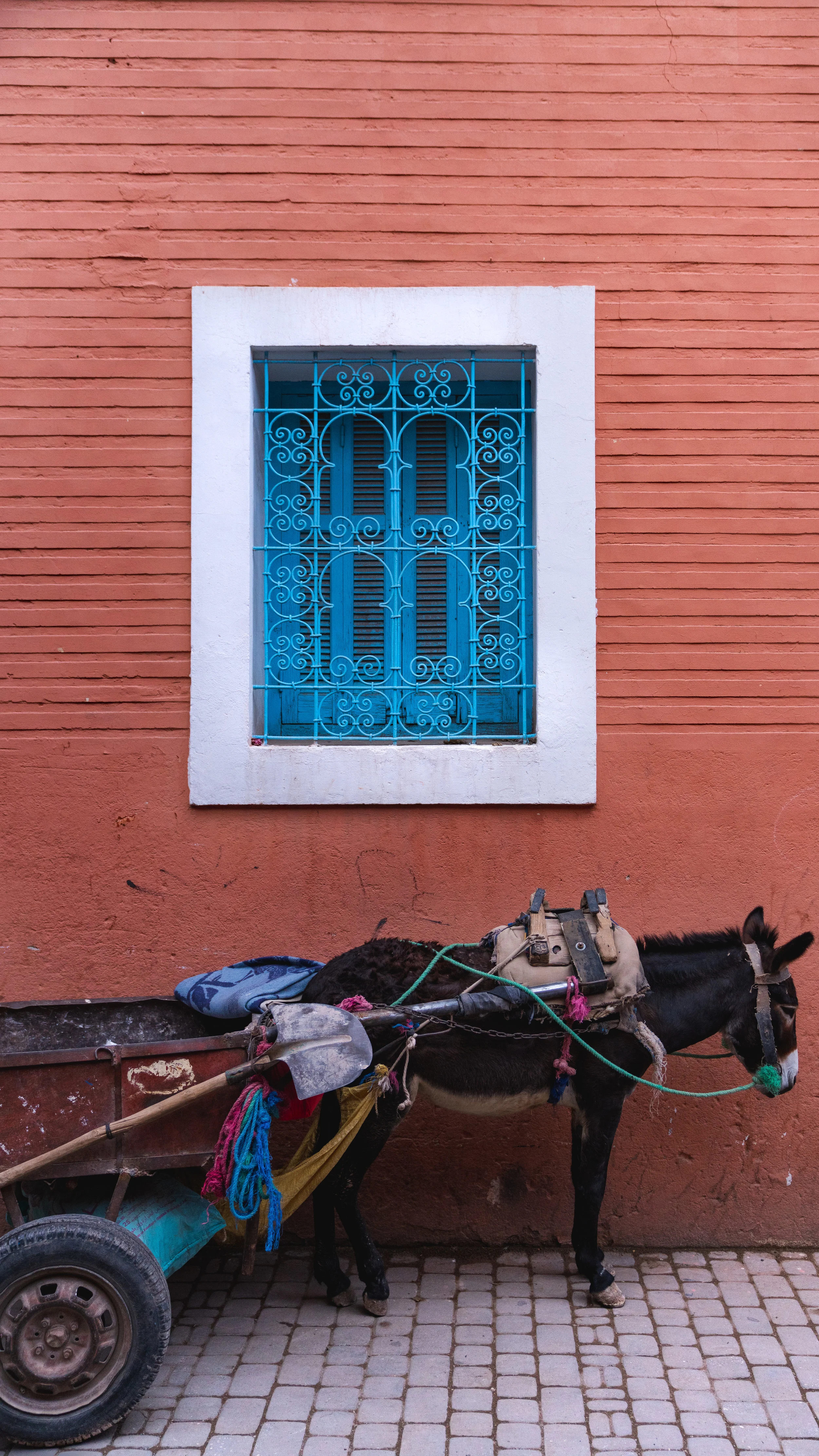 Morocco_Marrakech_07240.jpg