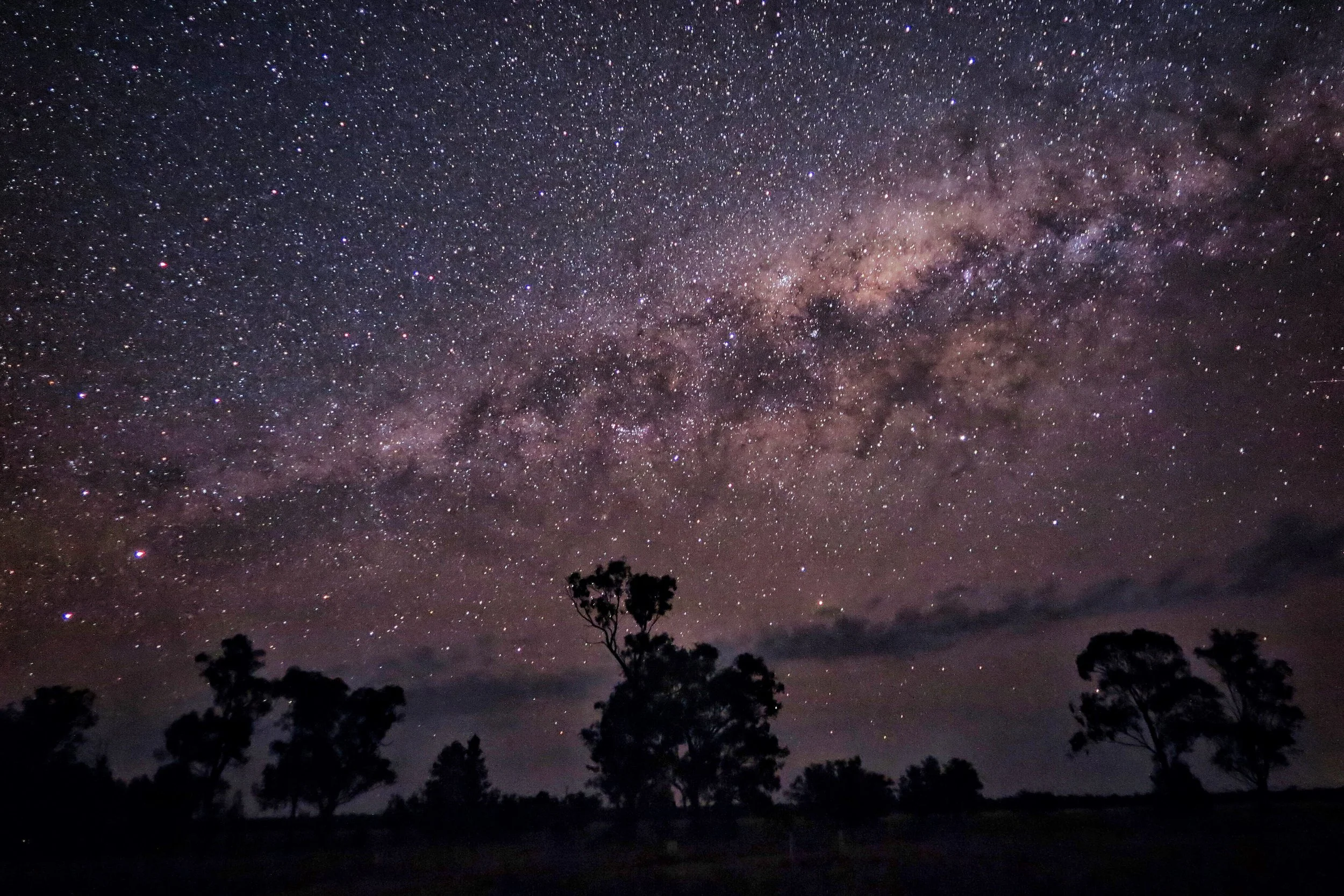 Moorambilla Voices / Residency Camps