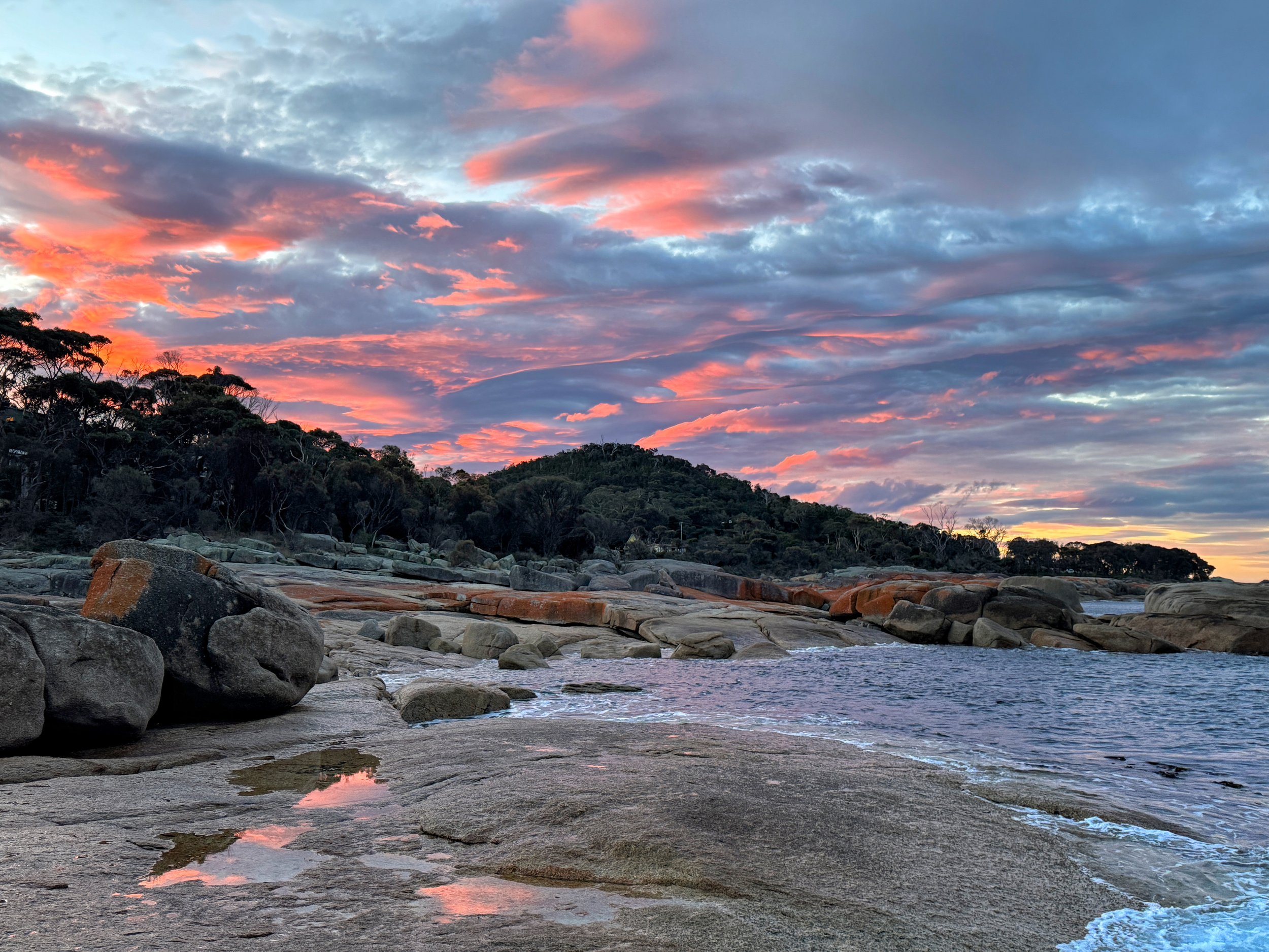 Van Diemen's Band / Tasmanian Chamber Music Festival & Other Concerts