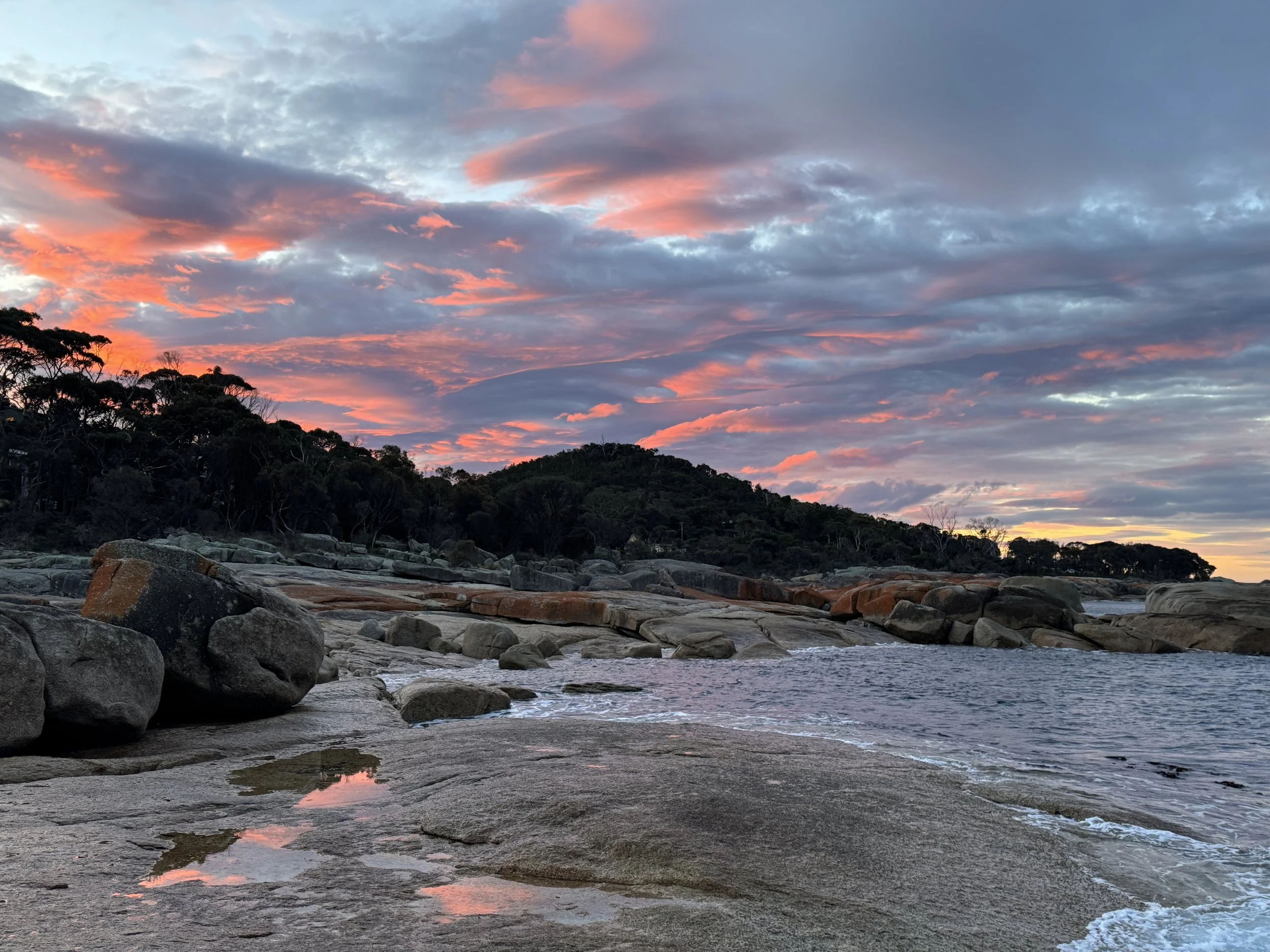 Van Diemen's Band / Concerts &amp; Recording