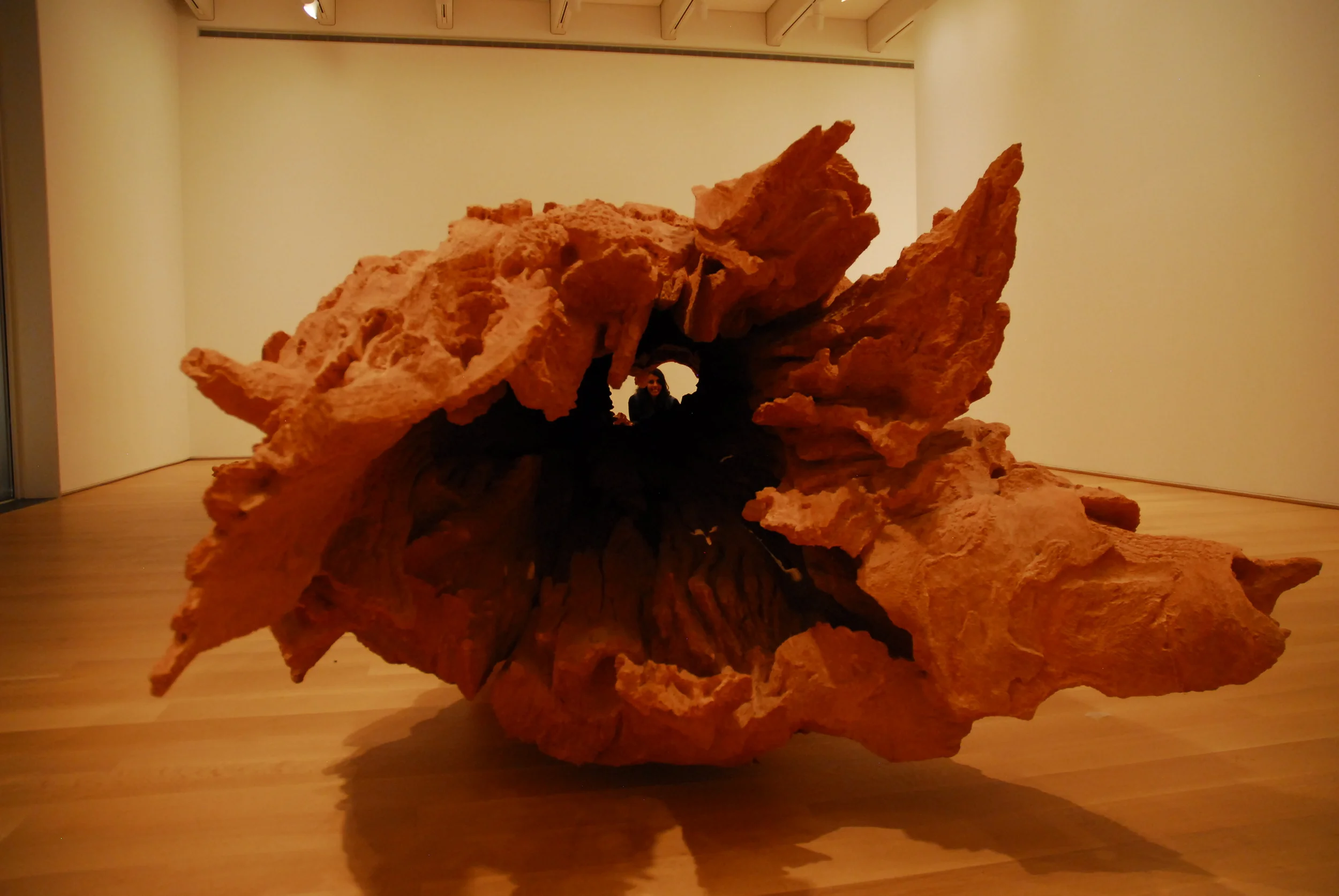 Art Institute, Chicago, 2012