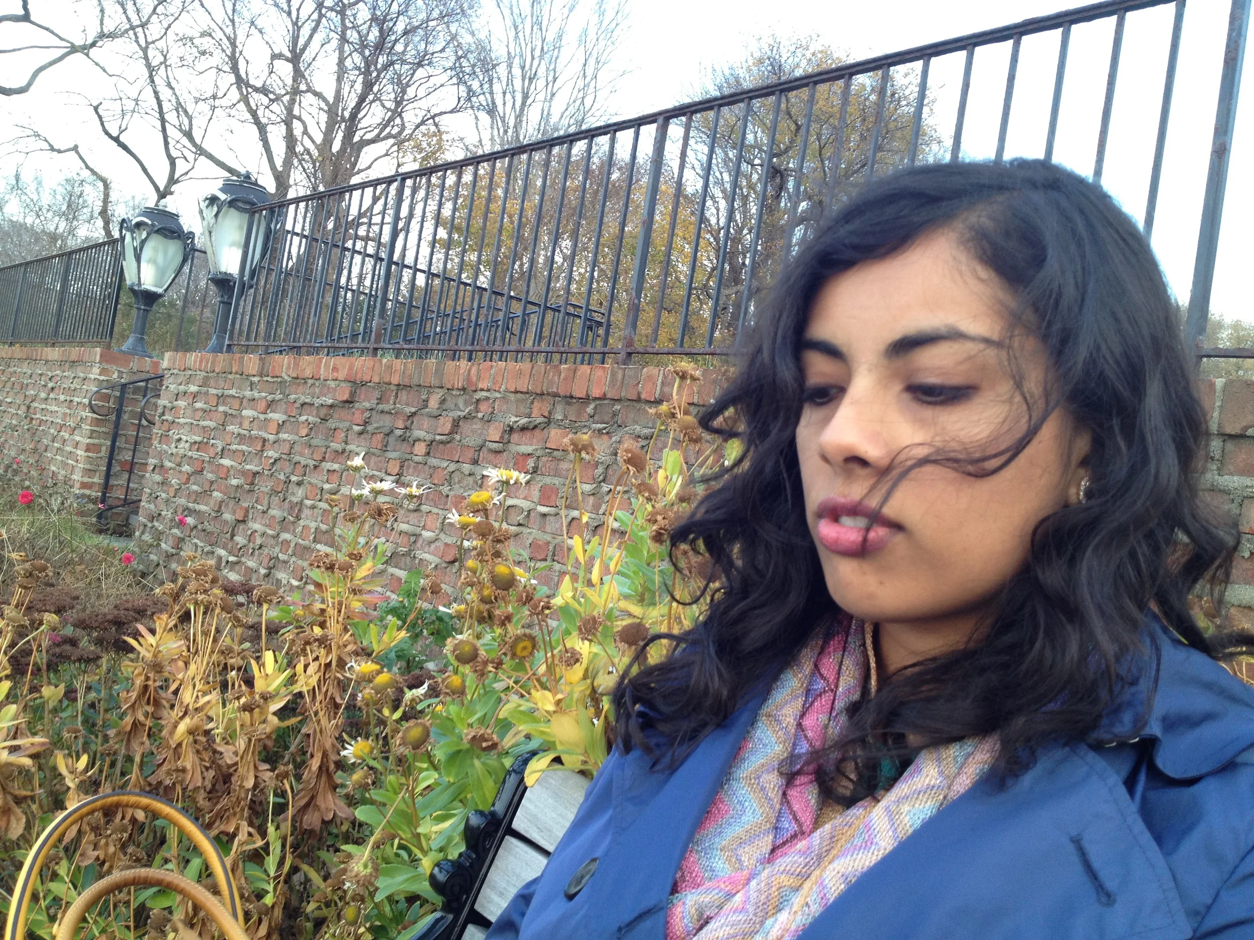 Steppingstone Park, Great Neck, 2011