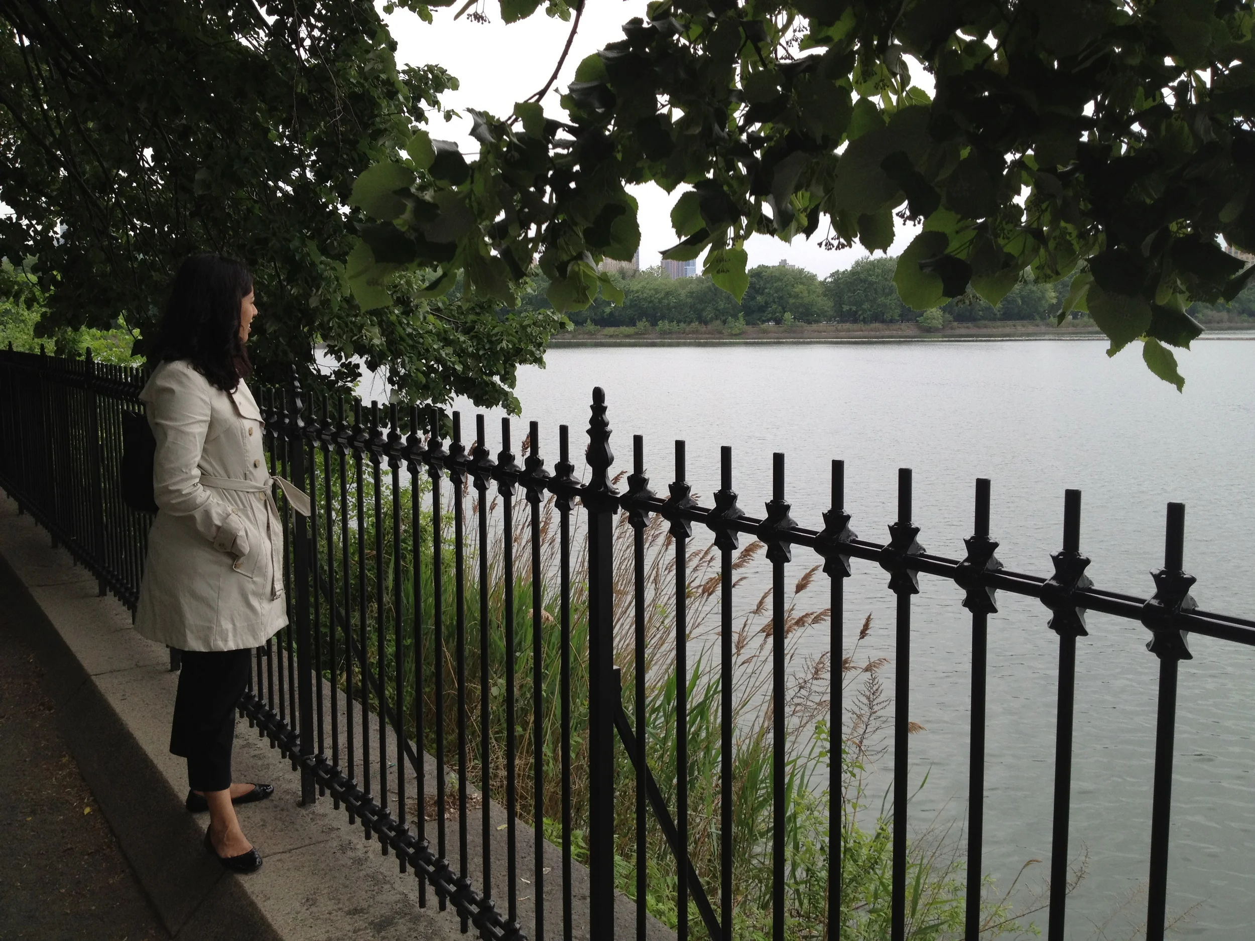 Central Park, New York, 2012