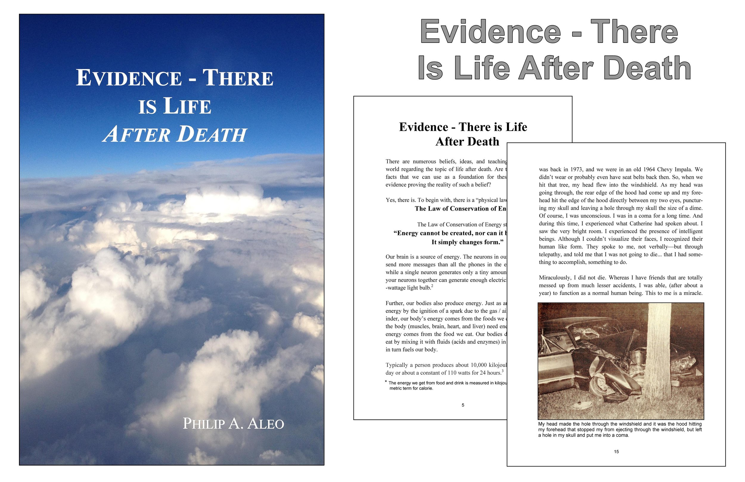 Intro Page Evidence - There Is Life After Death.jpg
