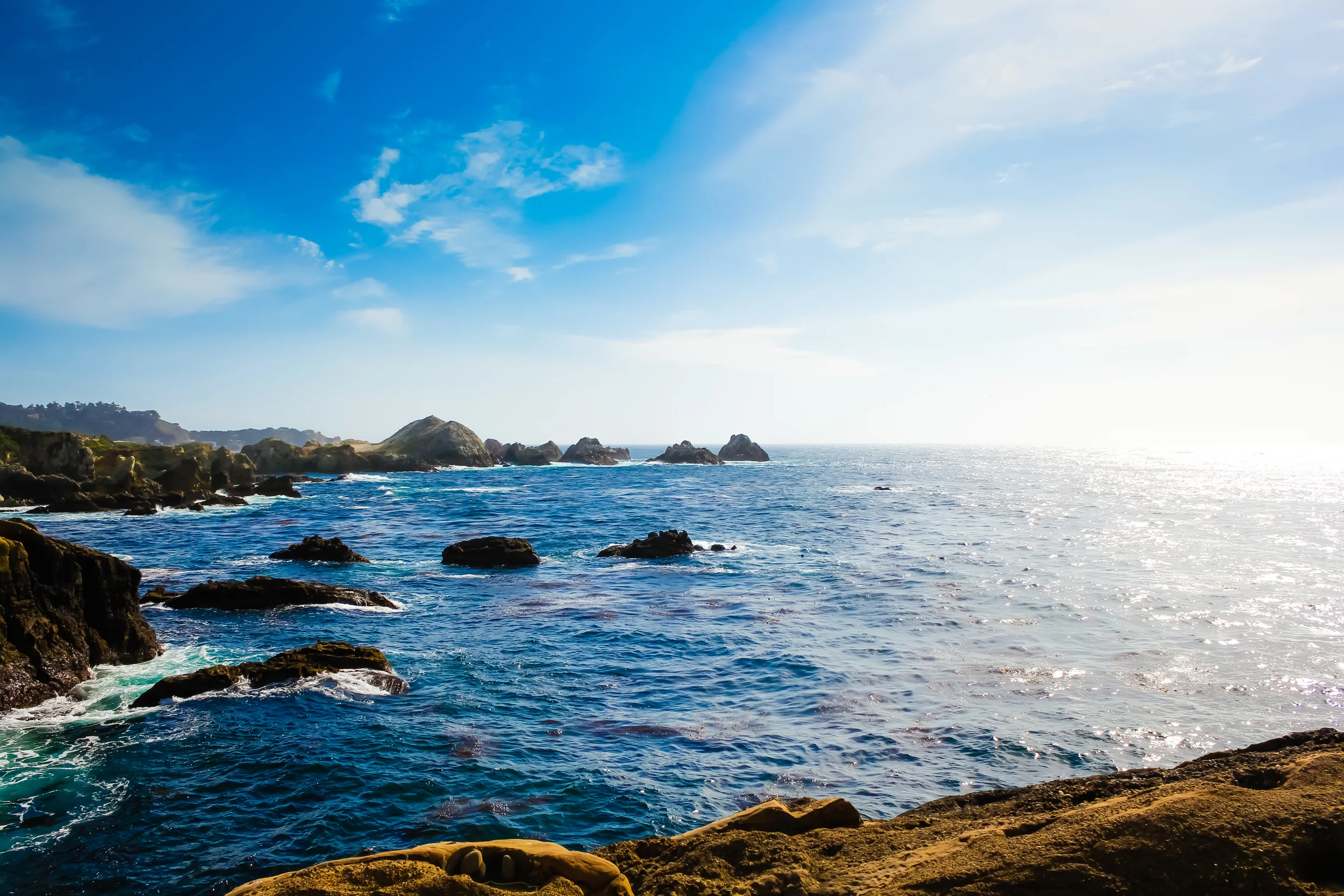 Point-Lobos-Ocean-View.jpg