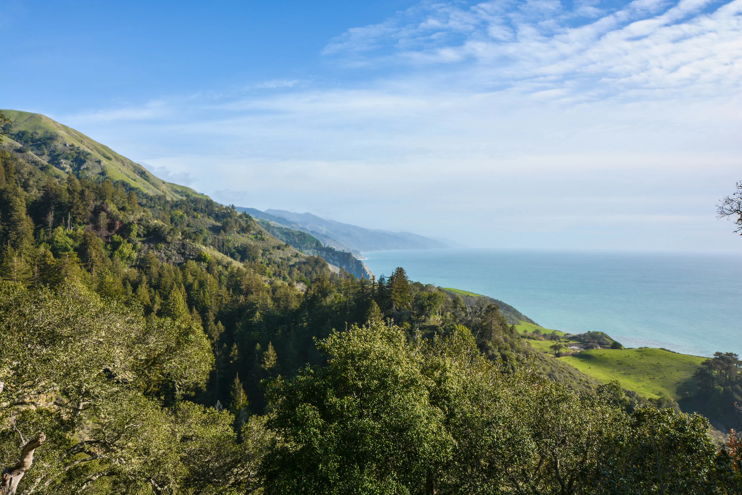 karen-rutherford-sur-photo7.jpg