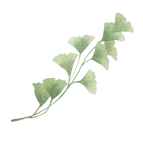 Element26.png