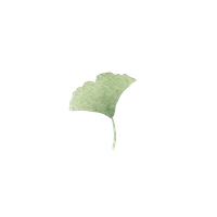 Element35 copy.png