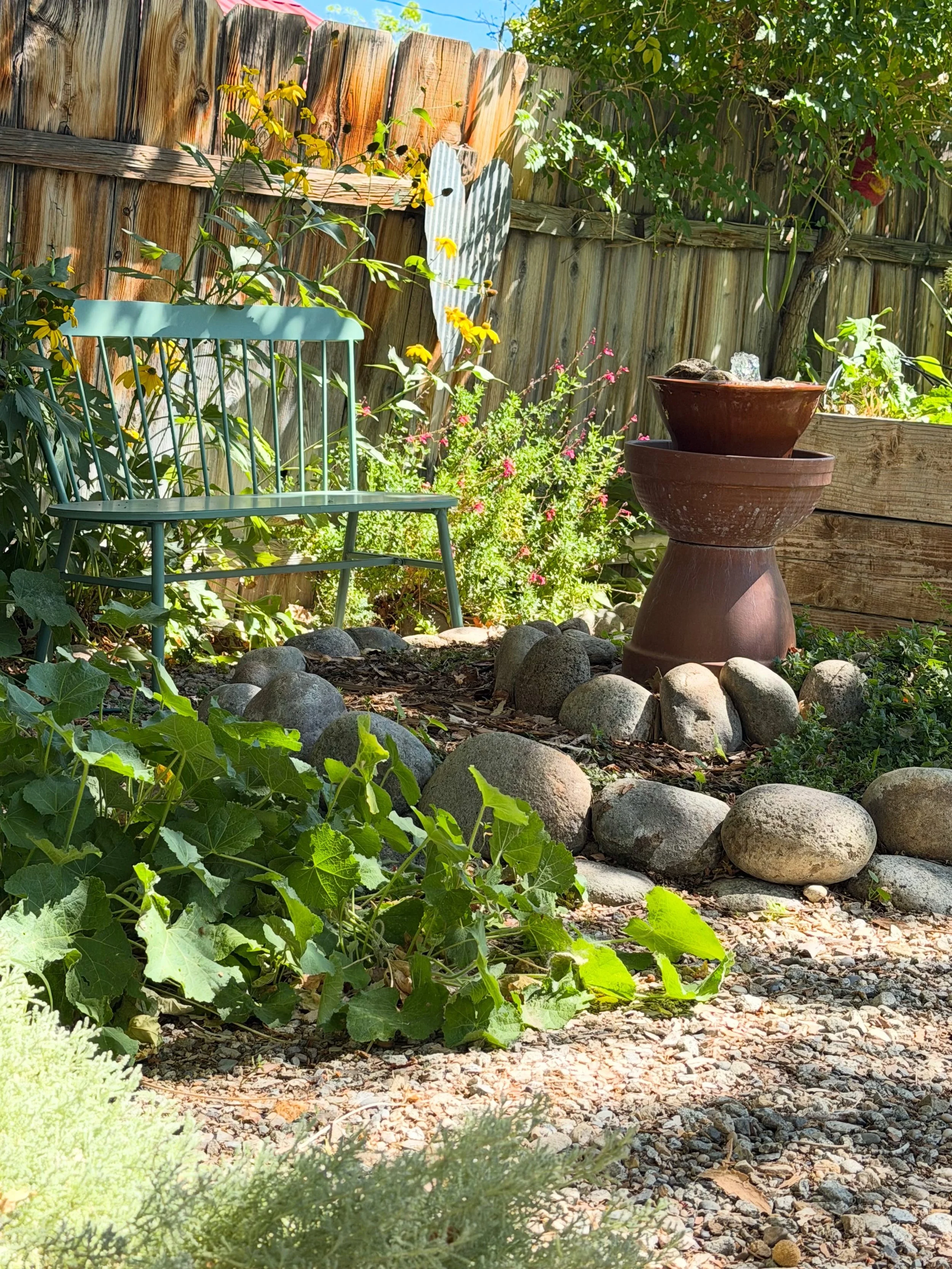 There is something about the fall garden&mdash; the light, the energy and knowing that these sweet &ldquo;in between&rdquo; days as fall approaches  are so sweet! 

We are still harvesting basil, tomatoes, cucs and kale &mdash; but winter planting is