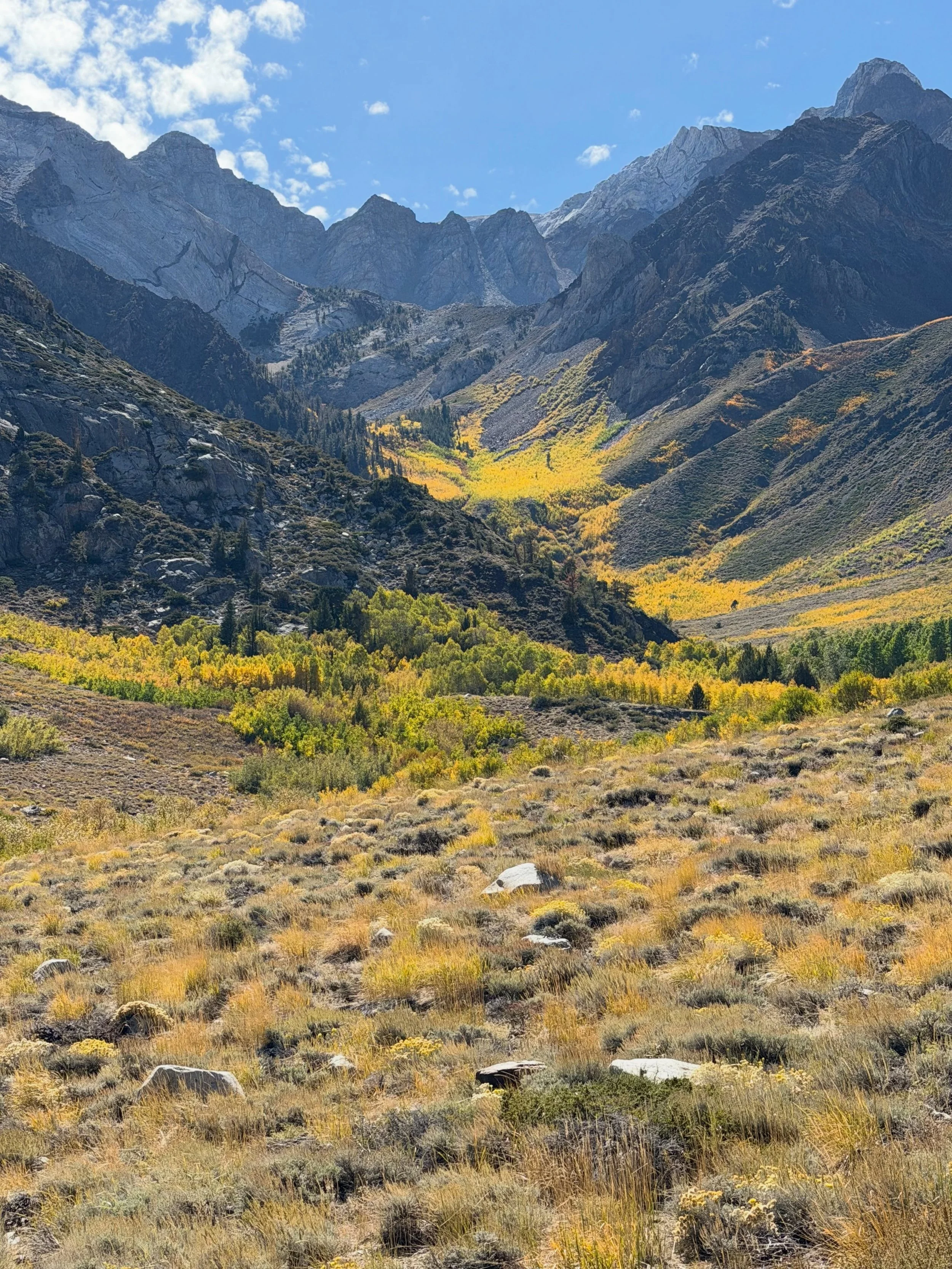 Beautiful light&mdash; the change is coming. It is a reminder that nothing stays the same and each moment is an opportunity.  It is a lifelong lesson for me&mdash; how about you? #change #autumn #fallcolors #presence #growth