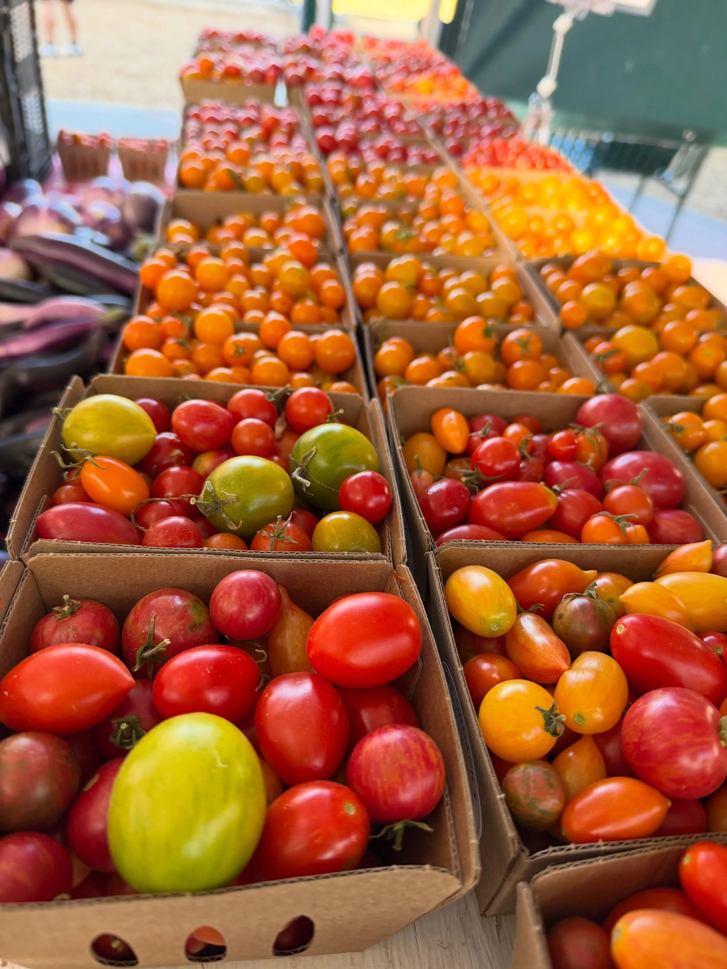 Food, plants, light and life in general viewed as pure beauty&mdash; as art&mdash; as an immersive experience. The Studio for Living Well is coming soon! #nourish #beauty #authentic #foodasart #heal