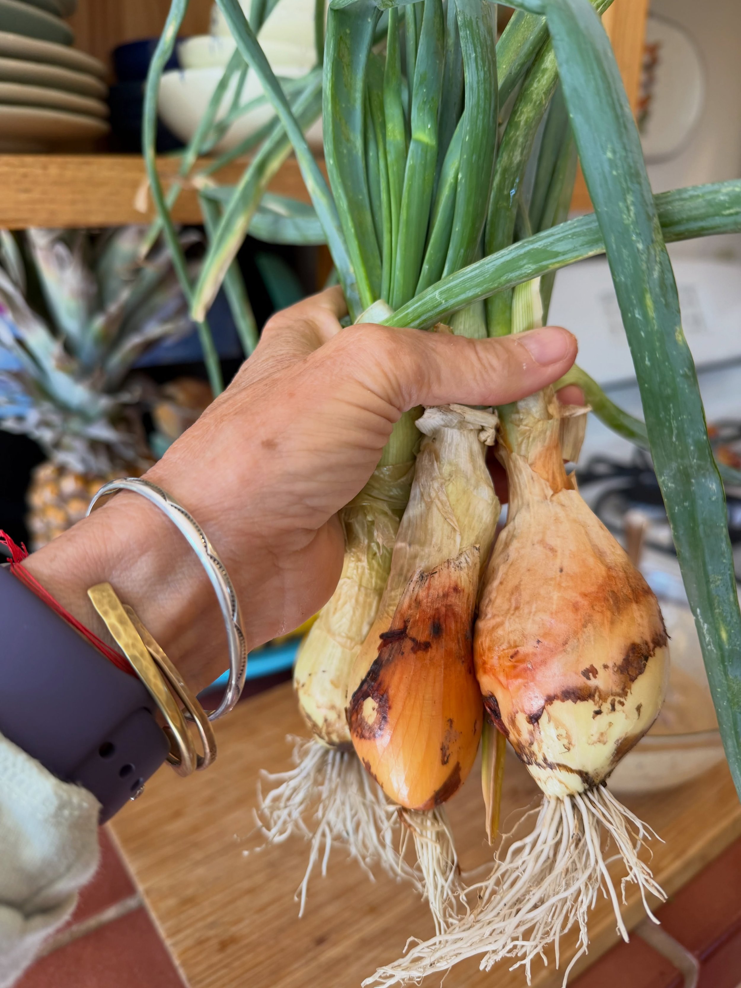 Delights from the late autumn garden&mdash; growing plants is so healing! What are you growing? Potted plants count&mdash;- tending helps ground you and brings meaning to life. Yep&mdash; it is true&mdash; nature heals&mdash; and the colors! What a l