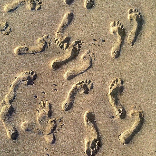 Follow the footprints- we must be getting closer