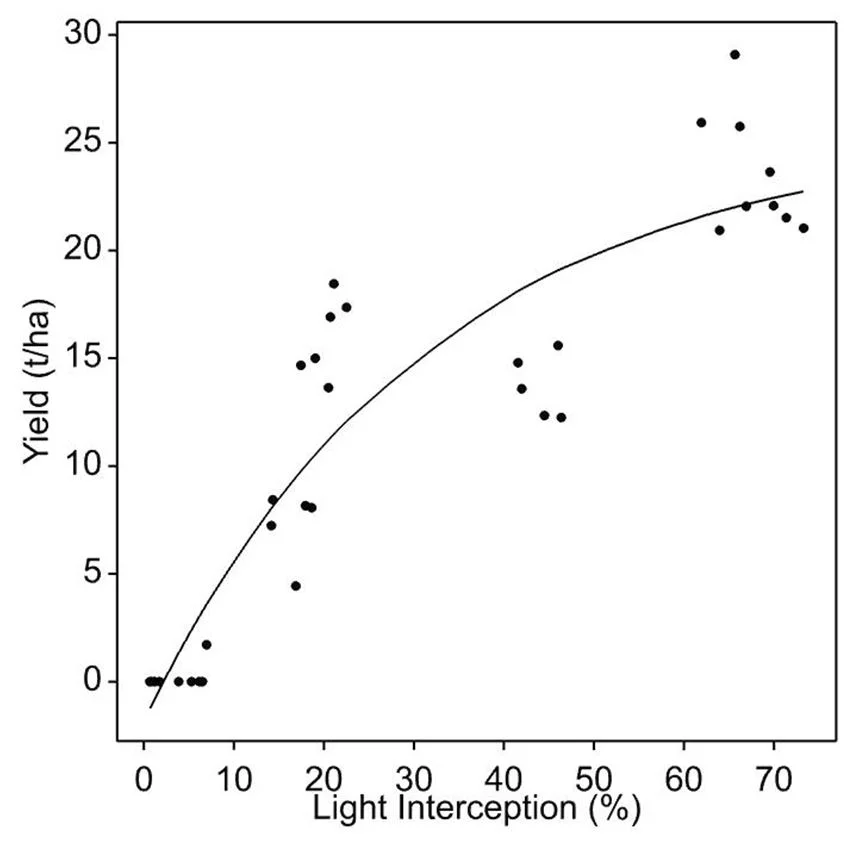 Relationship between light interception and yield in tonnes per hectare in Kensington pride, showing maximum yields are reached at about 68% light interception.